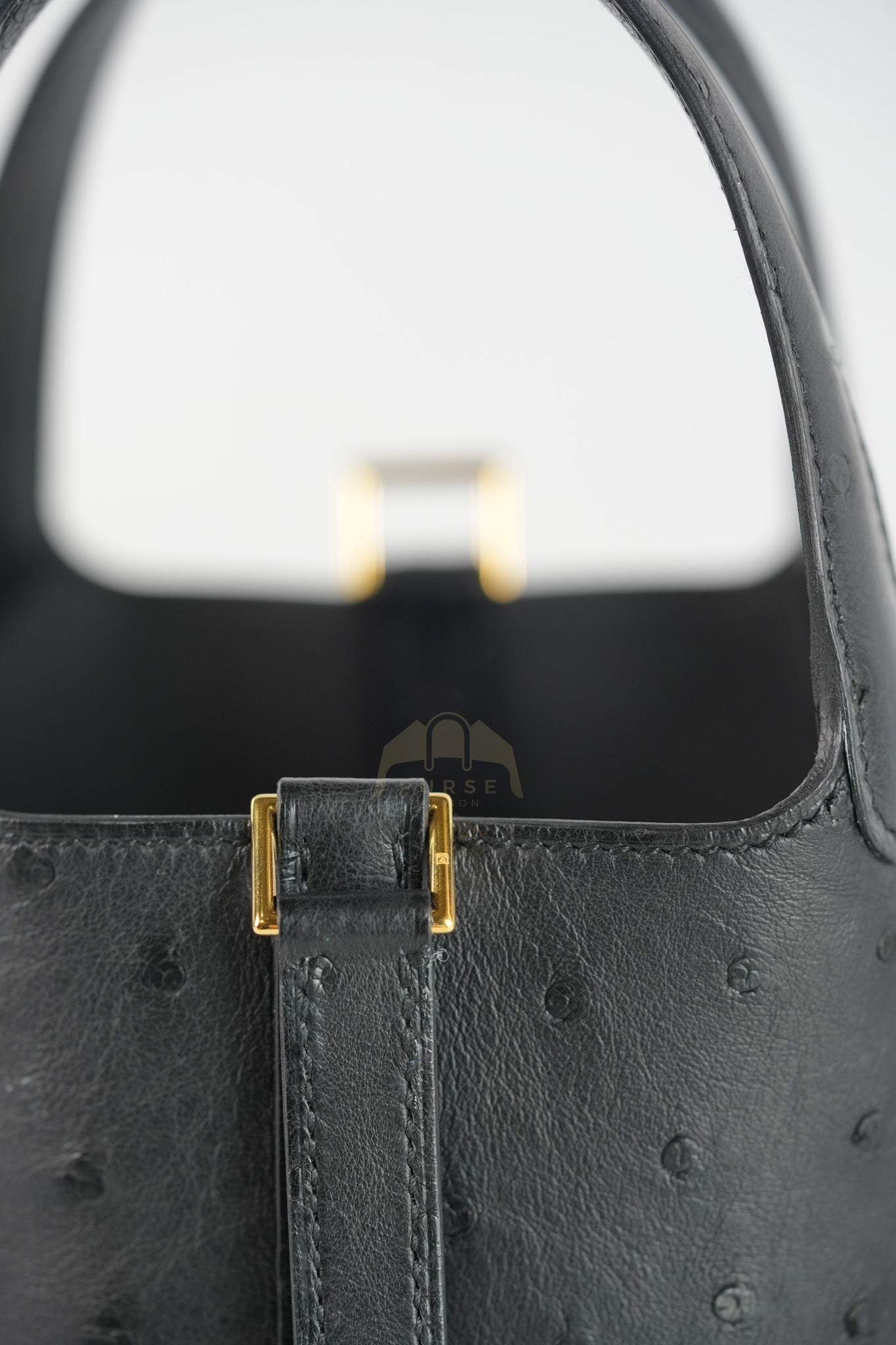 Picotin Micro in Black Ostrich Leather and Gold Hardware Stamp W (2024) | Purse Maison Luxury Bags Shop