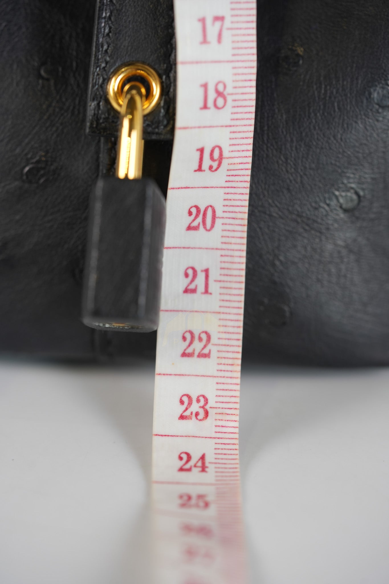 Picotin Micro in Black Ostrich Leather and Gold Hardware Stamp W (2024) | Purse Maison Luxury Bags Shop