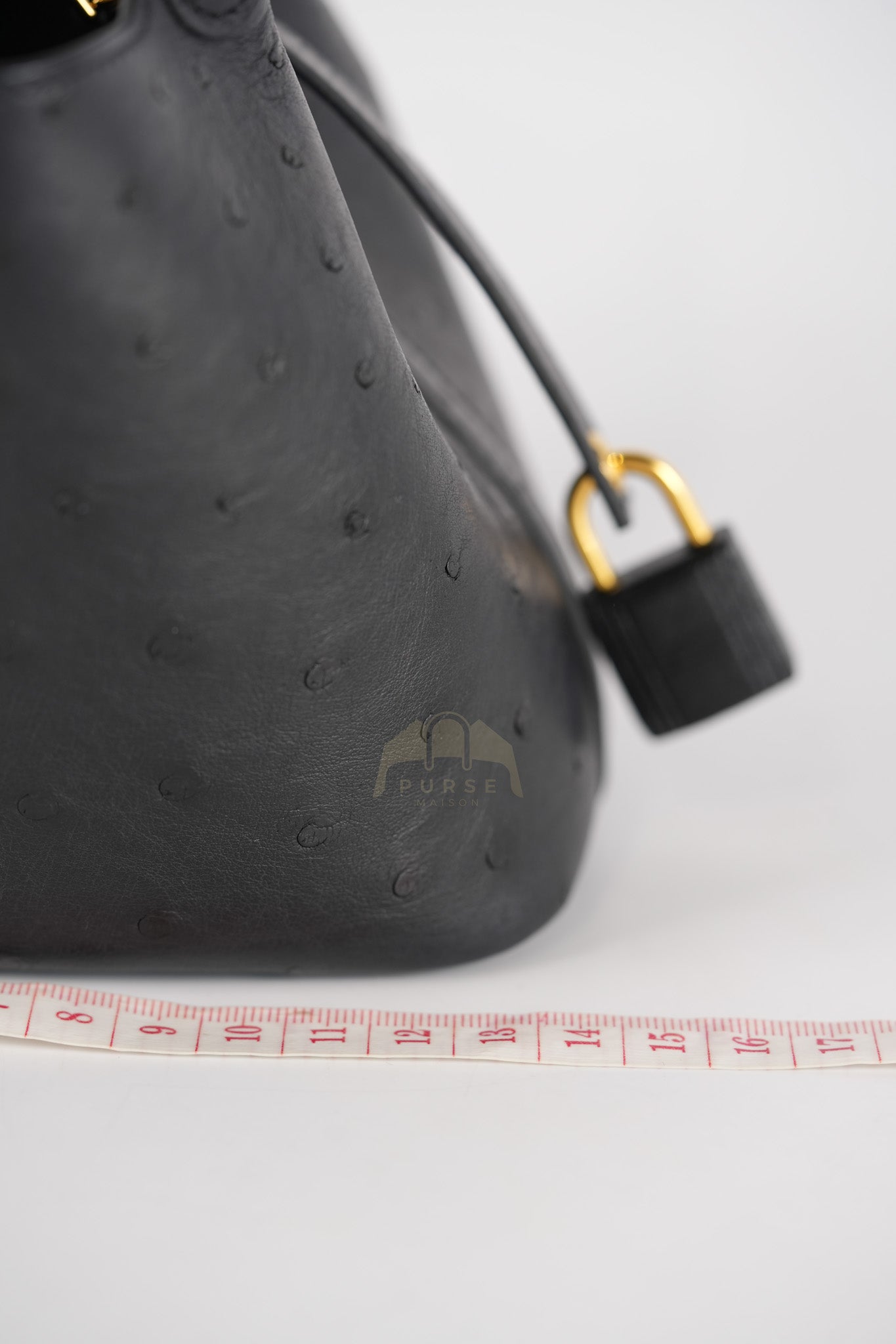 Picotin Micro in Black Ostrich Leather and Gold Hardware Stamp W (2024) | Purse Maison Luxury Bags Shop