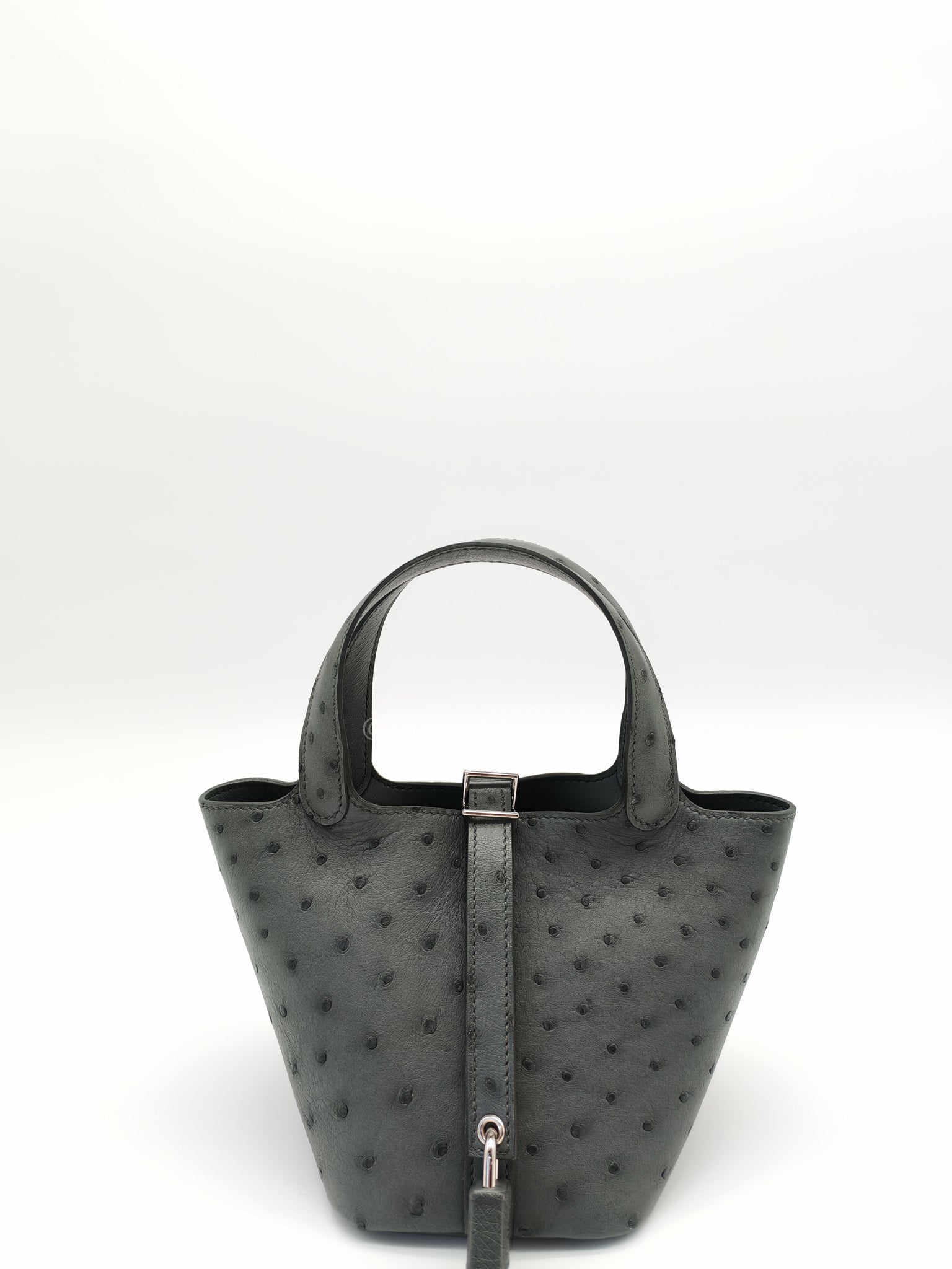 Picotin Nano in Vert Amande Ostrich Leather and Palladium Hardware Stamp W (2024) | Purse Maison Luxury Bags Shop