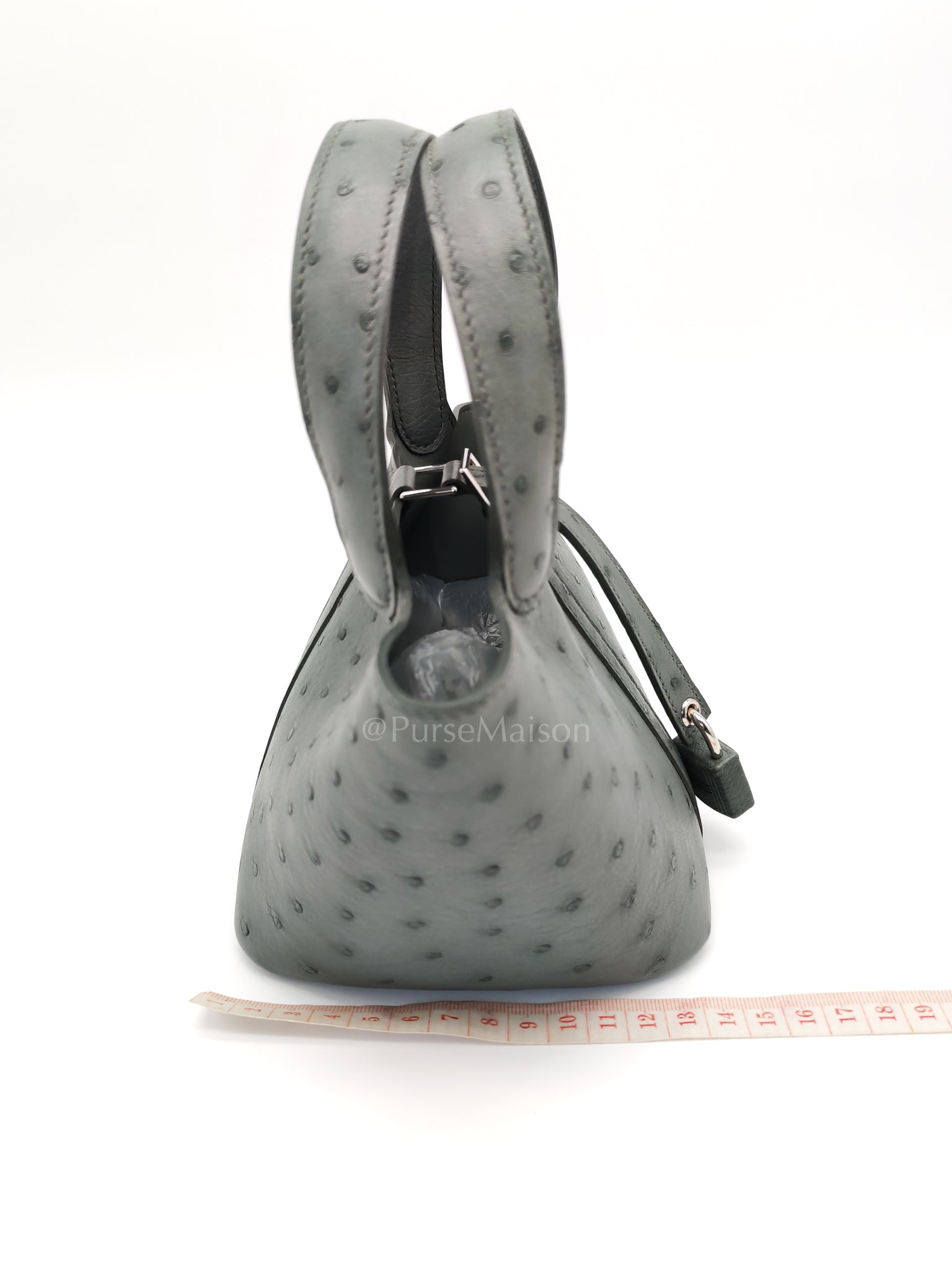 Picotin Nano in Vert Amande Ostrich Leather and Palladium Hardware Stamp W (2024) | Purse Maison Luxury Bags Shop