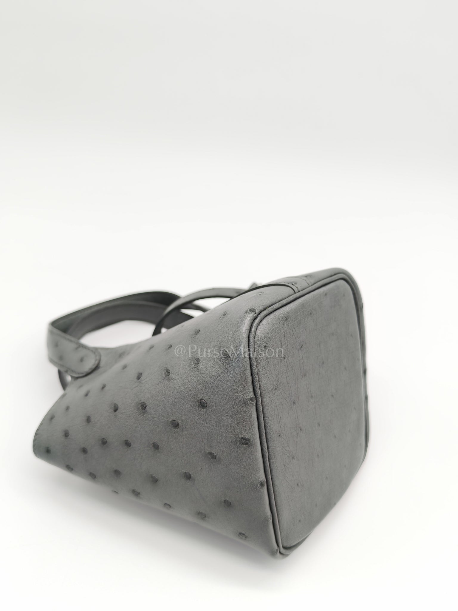 Picotin Nano in Vert Amande Ostrich Leather and Palladium Hardware Stamp W (2024) | Purse Maison Luxury Bags Shop