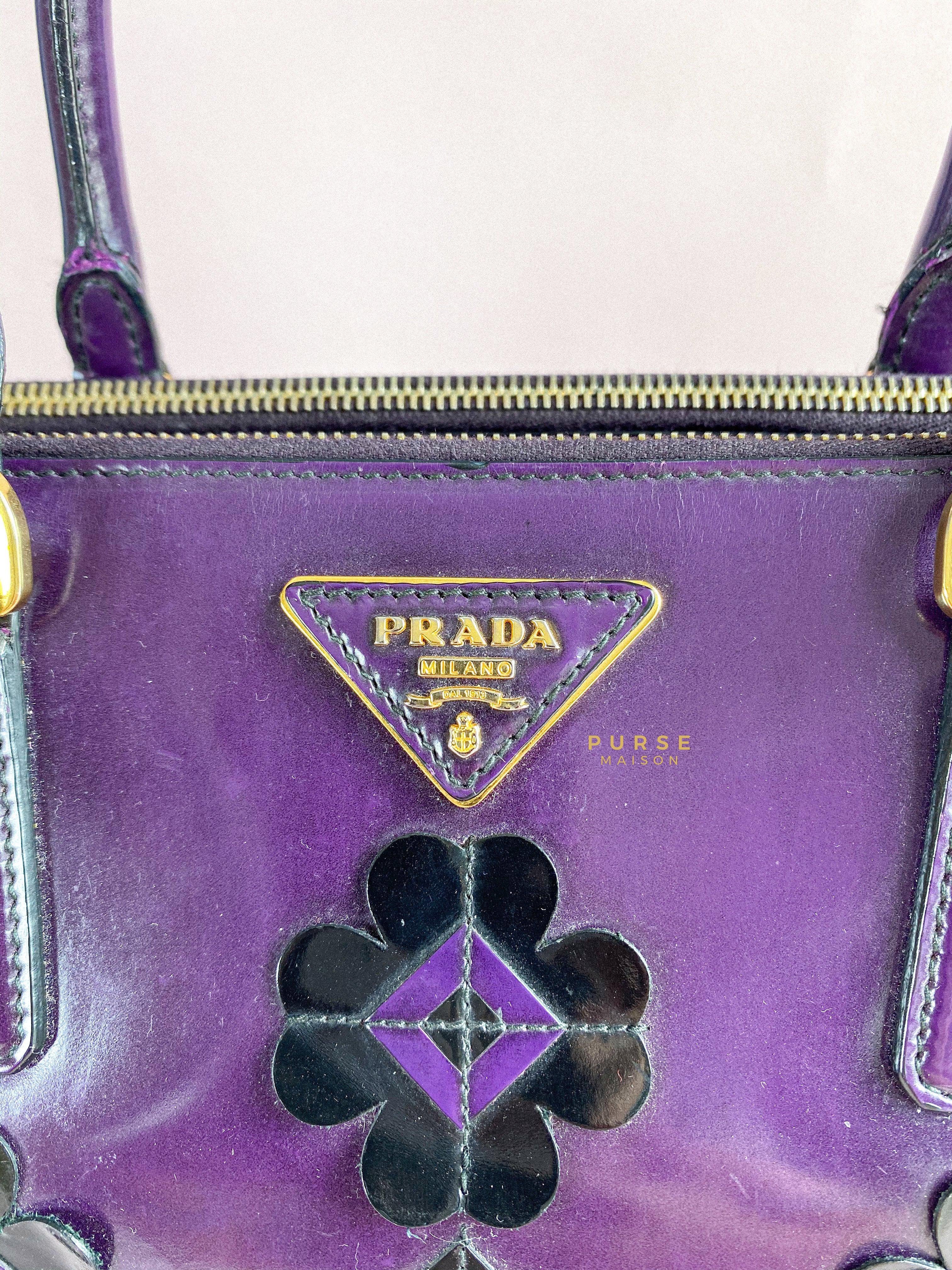 Leather wallet Prada Purple in Leather - 41993032