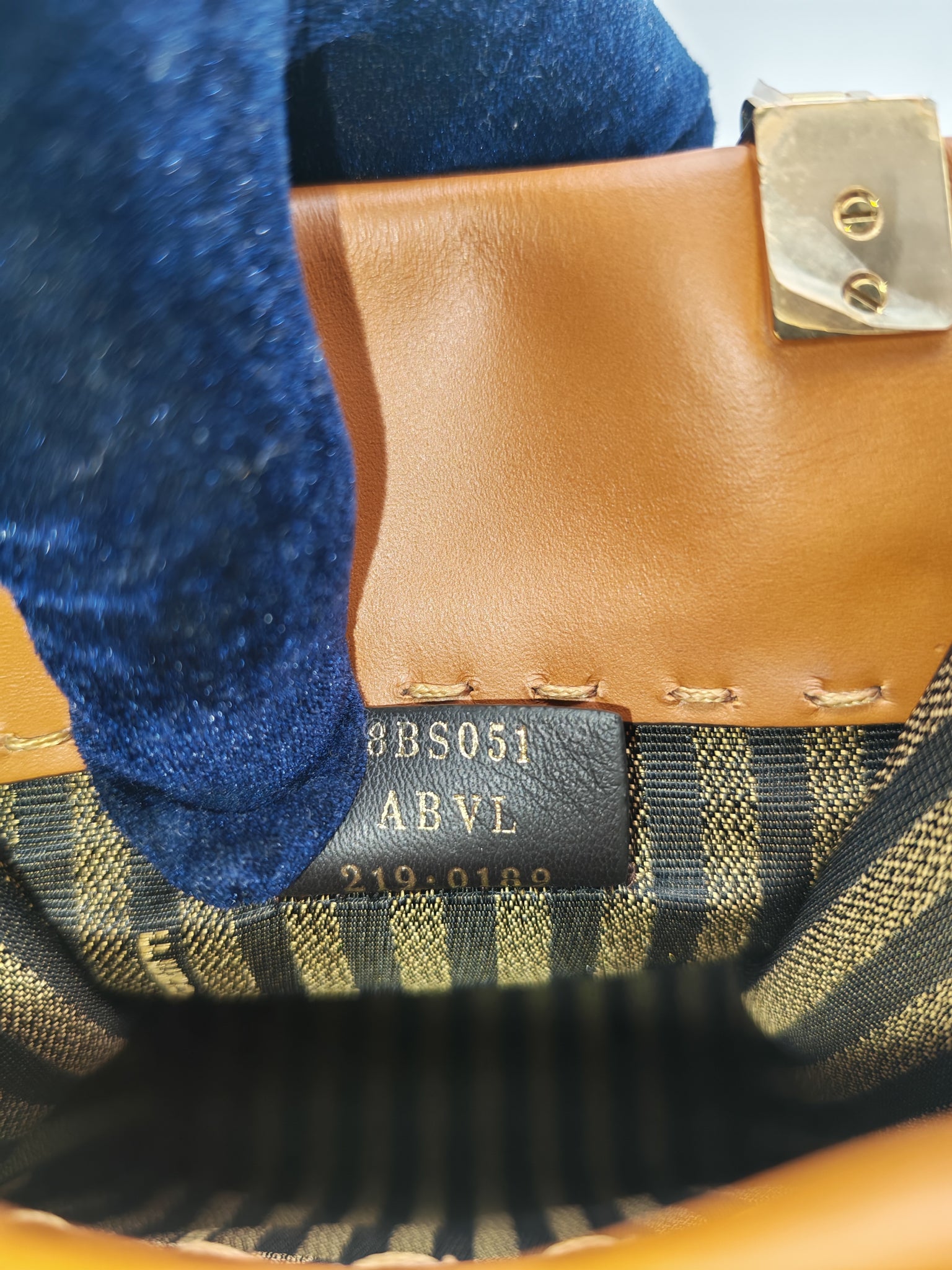 Roma Sunshine Mini Shopper Bag in Brown Calfskin Leather and Tortoise-Shell Handle | Purse Maison Luxury Bags Shop