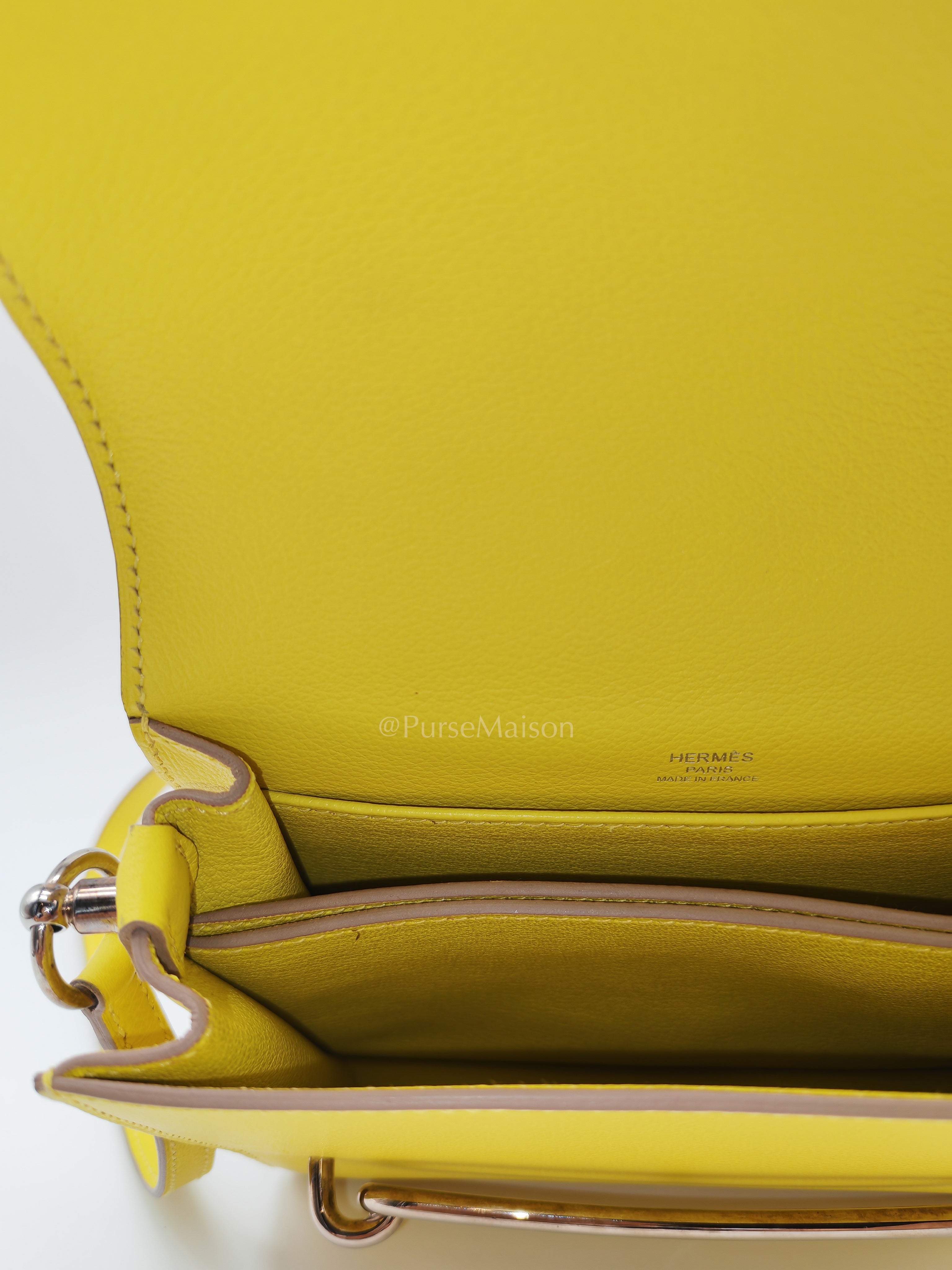 Roulis Mini in Vibrant Lime Evercolor Leather & Light Gold Hardware Stamp D (2019) | Purse Maison Luxury Bags Shop