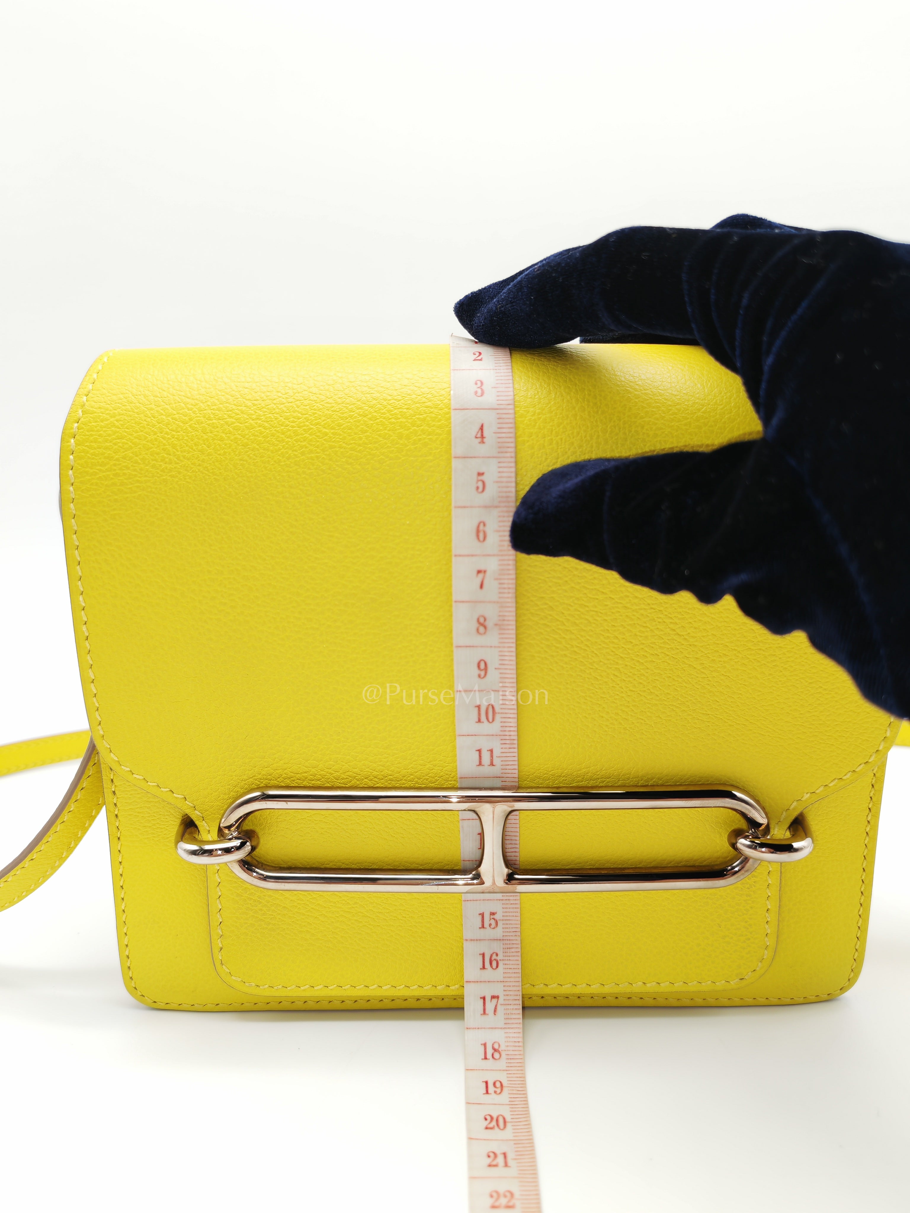 Roulis Mini in Vibrant Lime Evercolor Leather & Light Gold Hardware Stamp D (2019) | Purse Maison Luxury Bags Shop