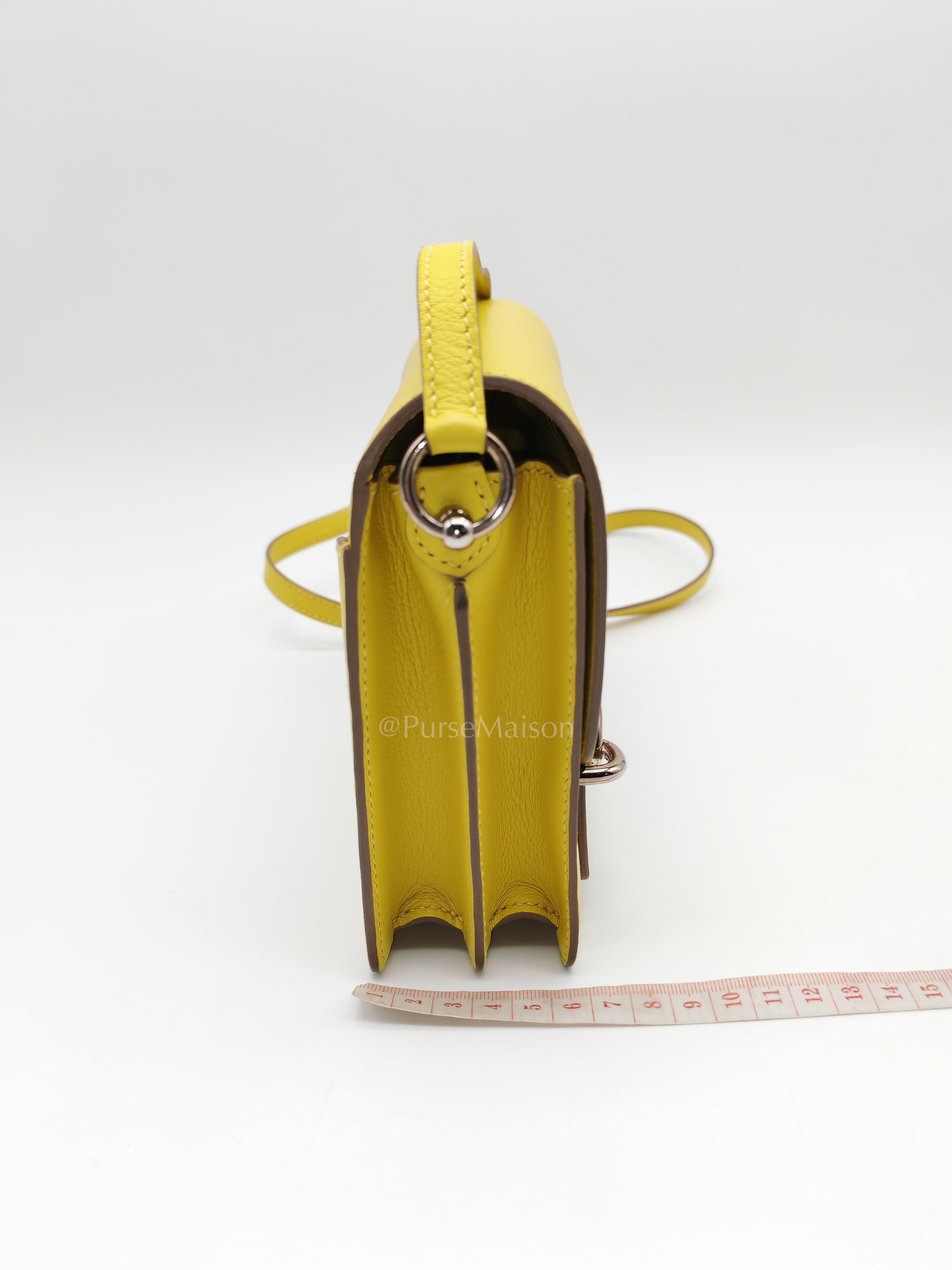 Roulis Mini in Vibrant Lime Evercolor Leather & Light Gold Hardware Stamp D (2019) | Purse Maison Luxury Bags Shop