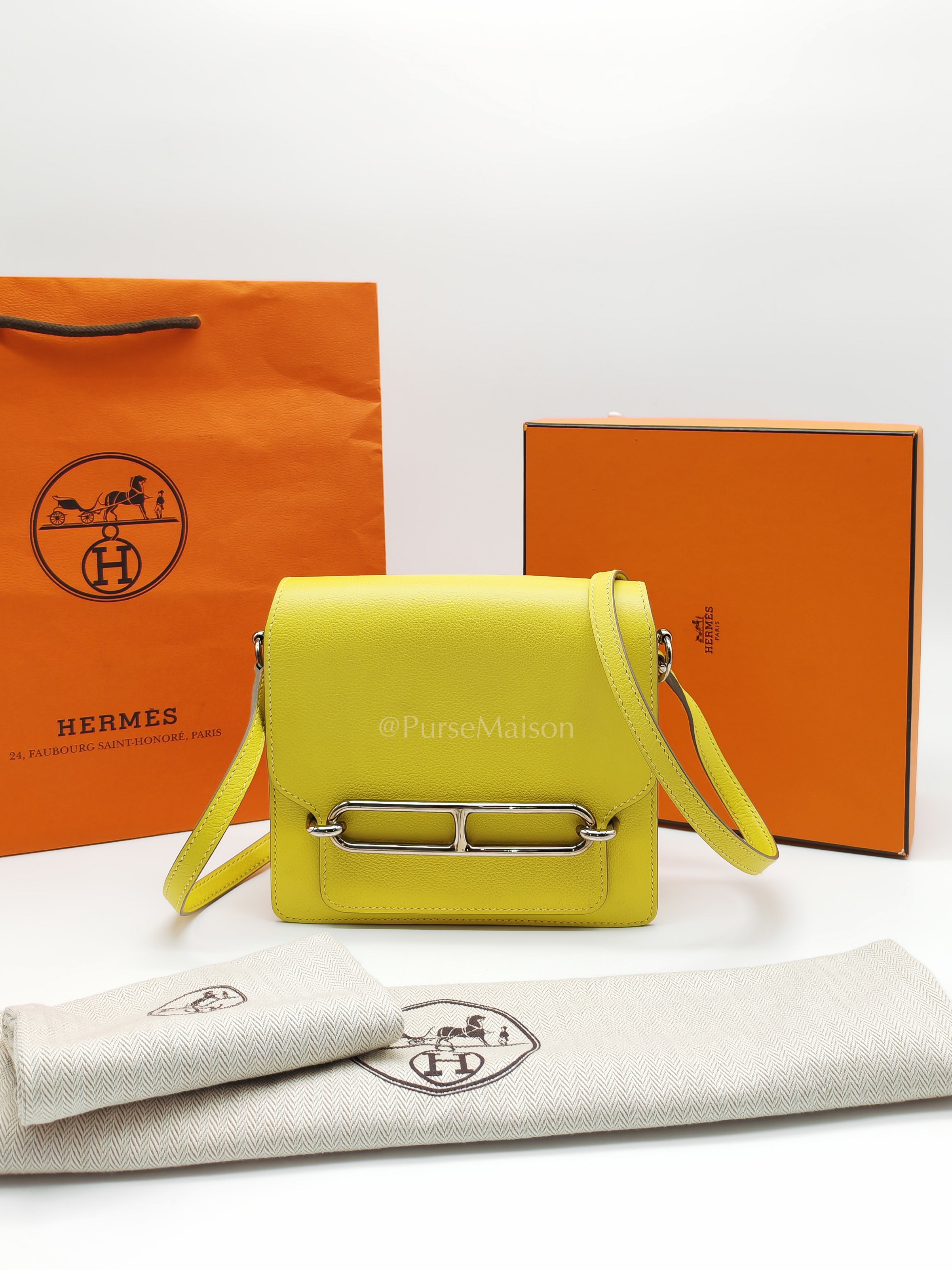 Roulis Mini in Vibrant Lime Evercolor Leather & Light Gold Hardware Stamp D (2019) | Purse Maison Luxury Bags Shop