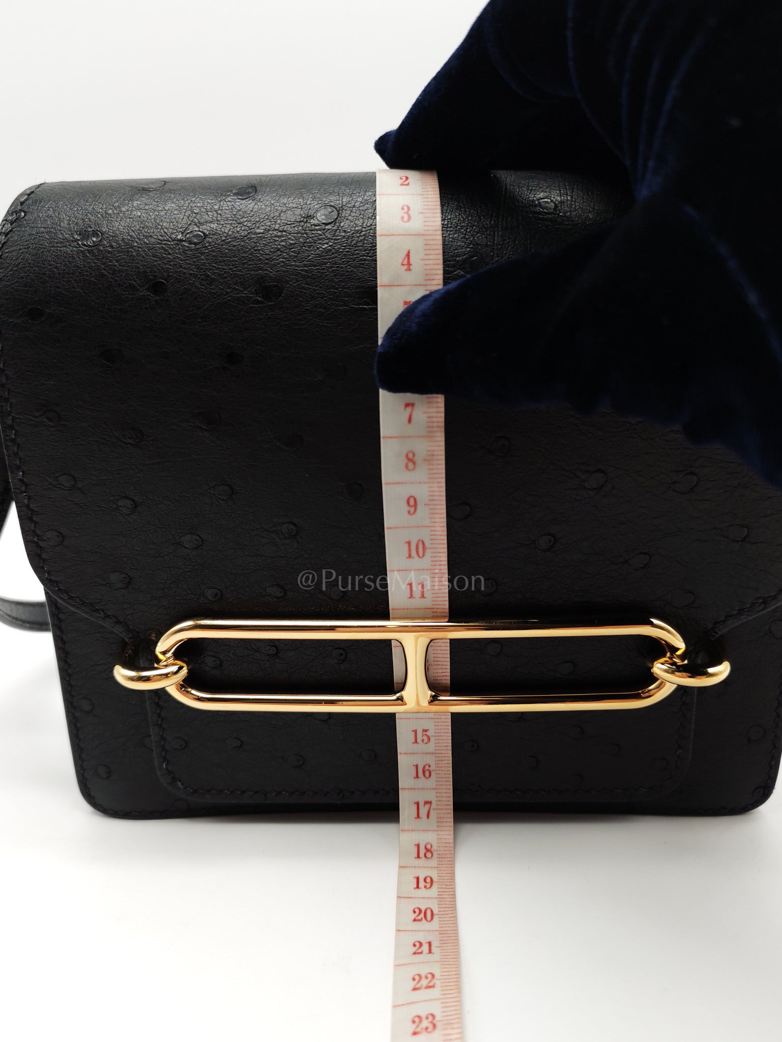 Roulis Mini Noir/Black Ostrich Leather in Gold Hardware Stamp Z(2021) | Purse Maison Luxury Bags Shop