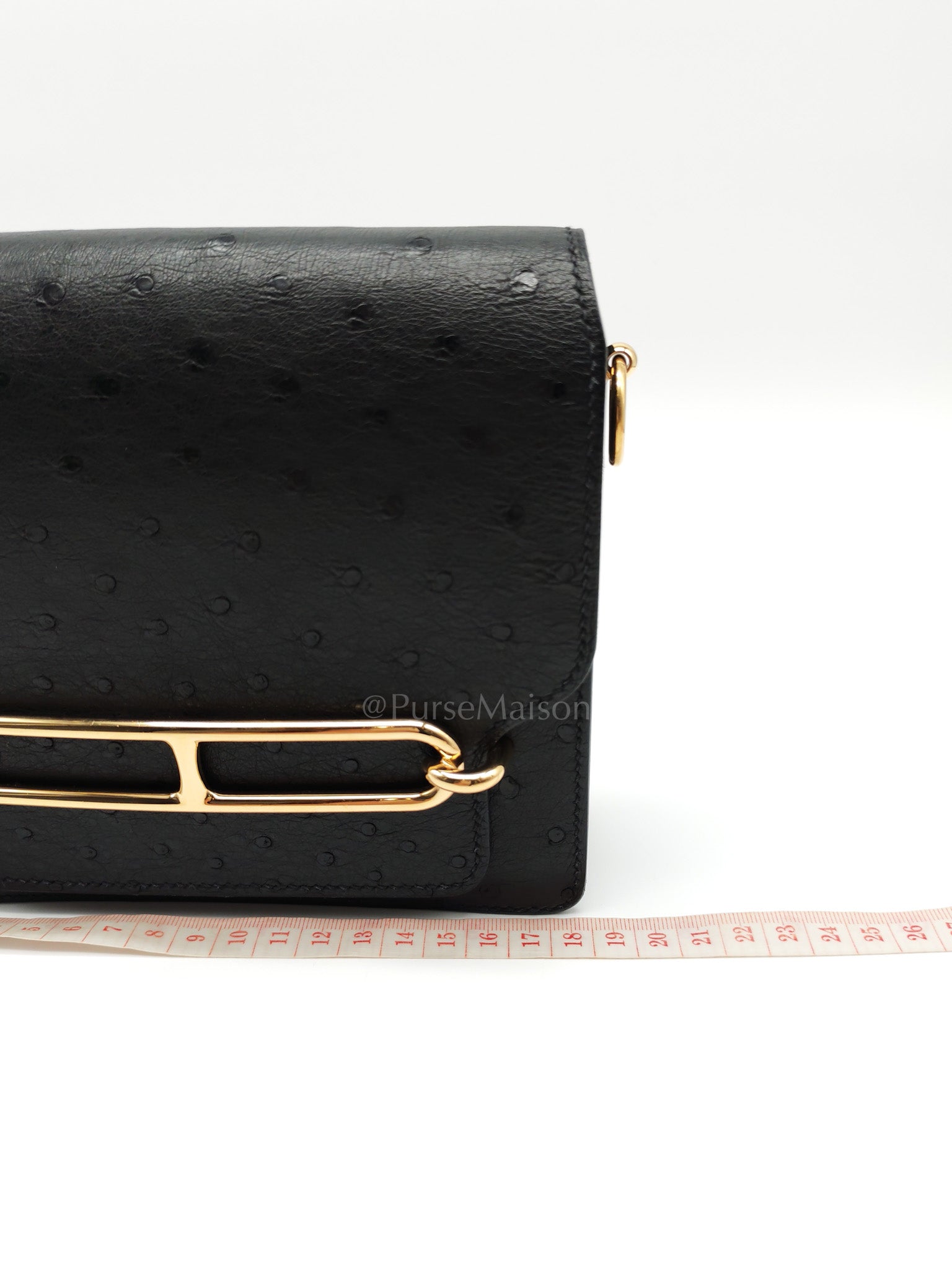 Roulis Mini Noir/Black Ostrich Leather in Gold Hardware Stamp Z(2021) | Purse Maison Luxury Bags Shop