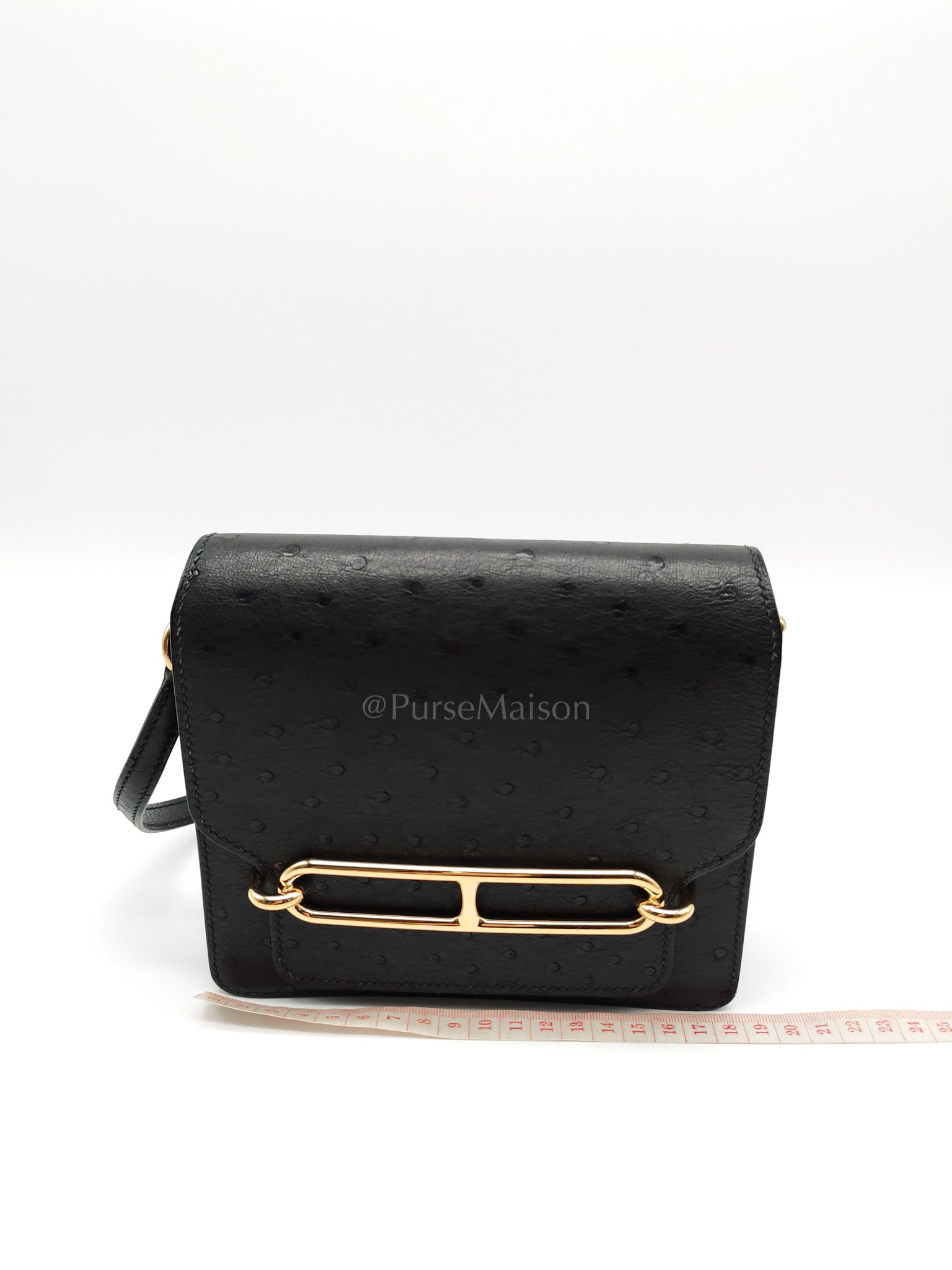 Roulis Mini Noir/Black Ostrich Leather in Gold Hardware Stamp Z(2021) | Purse Maison Luxury Bags Shop