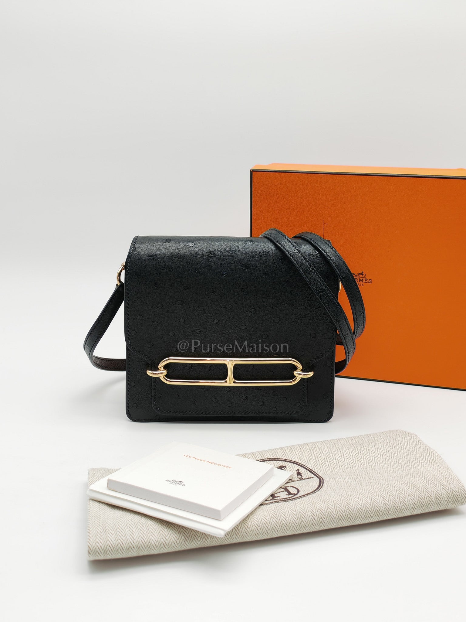 Roulis Mini Noir/Black Ostrich Leather in Gold Hardware Stamp Z(2021) | Purse Maison Luxury Bags Shop