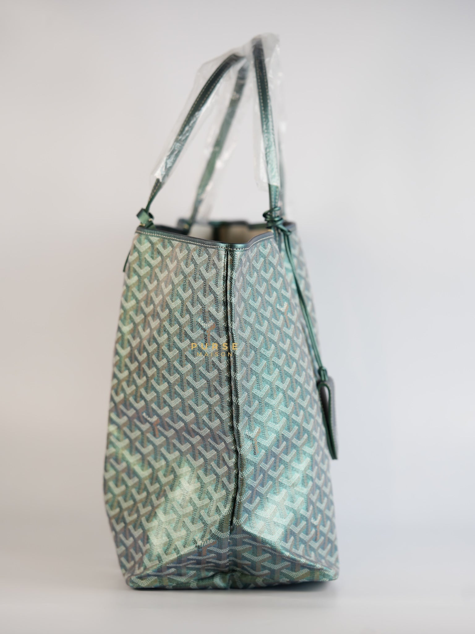 Saint Louis GM Croc Nacre Pearly Green Limited Edition | Purse Maison Luxury Bags Shop