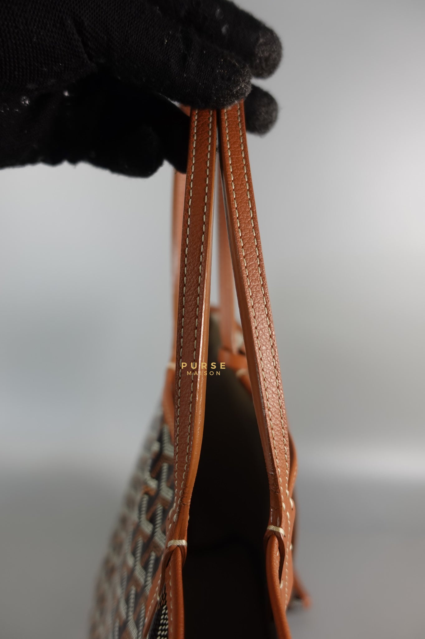 Saint Louis PM in Black/Tan Tote Bag | Purse Maison Luxury Bags Shop