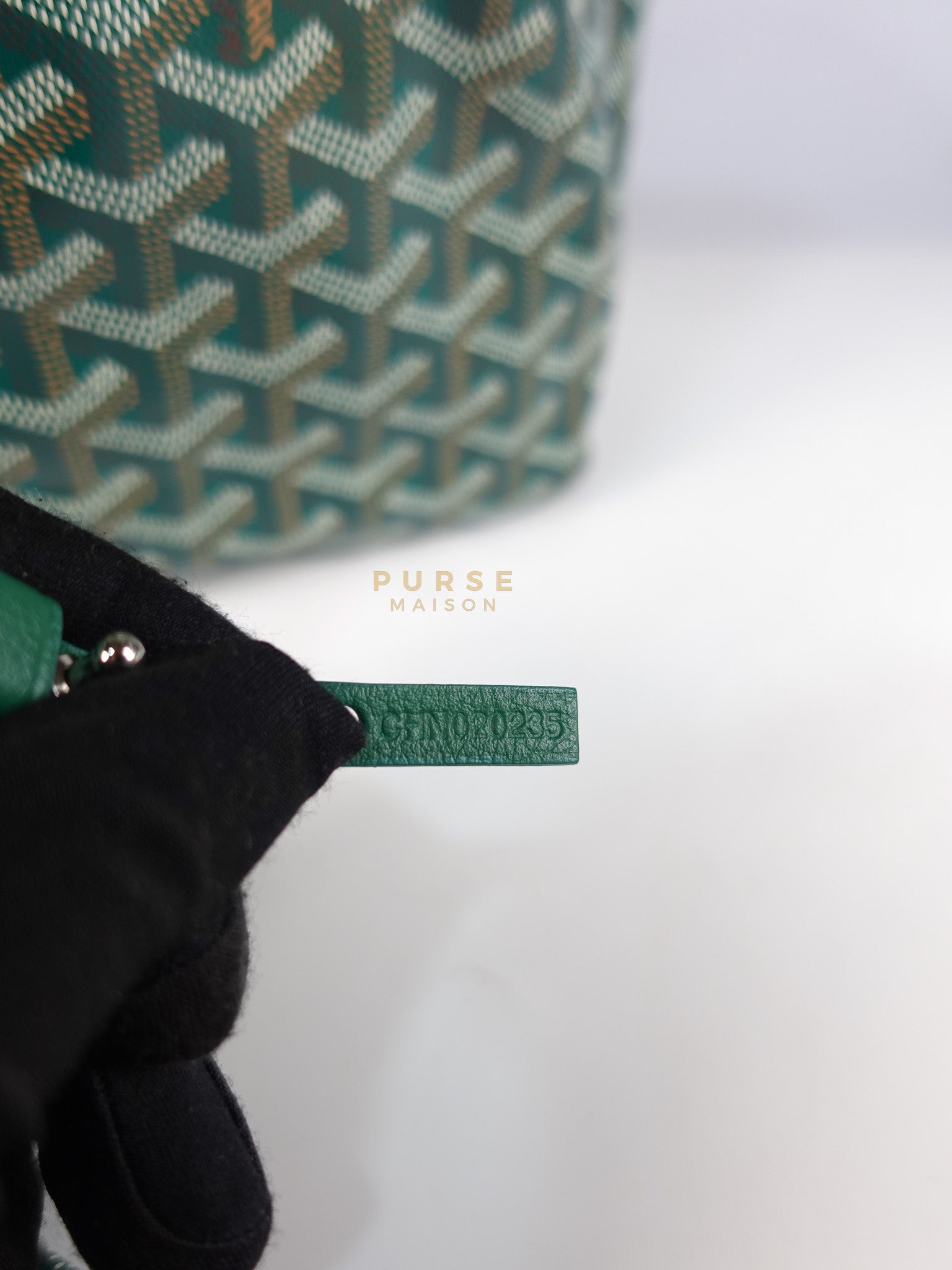 Saint Louis PM in Vert Goyardine Canvas | Purse Maison Luxury Bags Shop