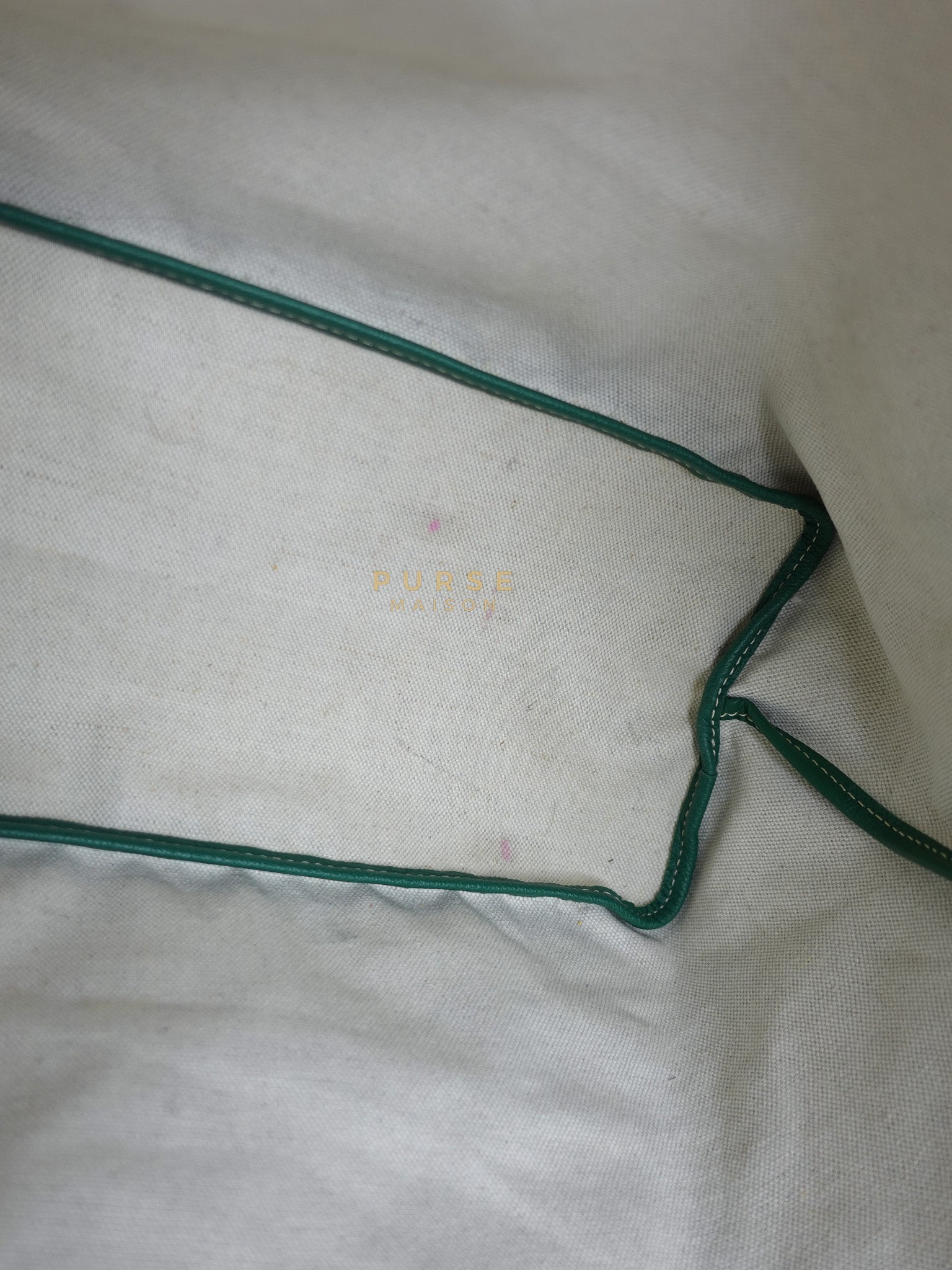 Saint Louis PM in Vert Goyardine Canvas | Purse Maison Luxury Bags Shop