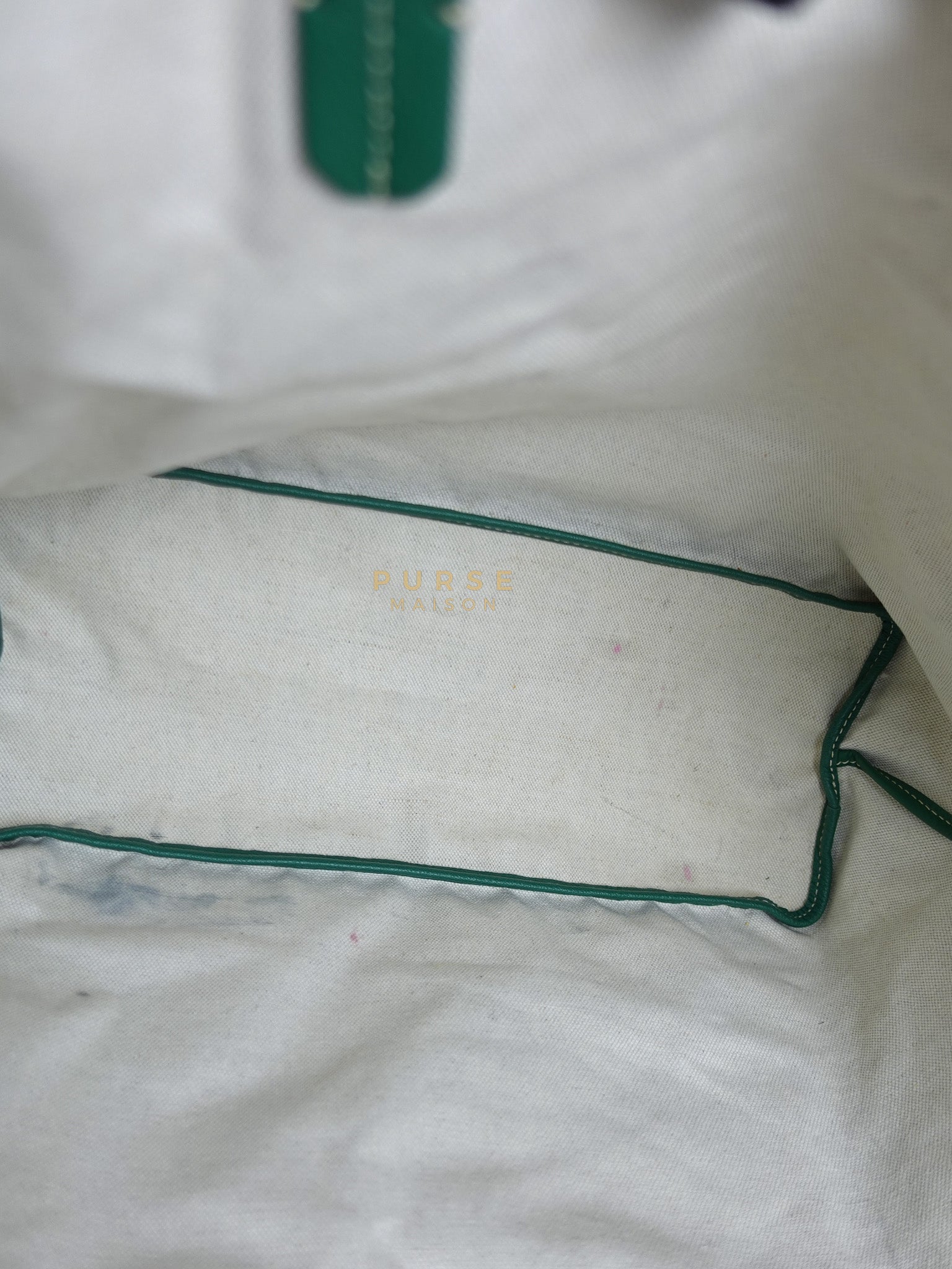 Saint Louis PM in Vert Goyardine Canvas | Purse Maison Luxury Bags Shop