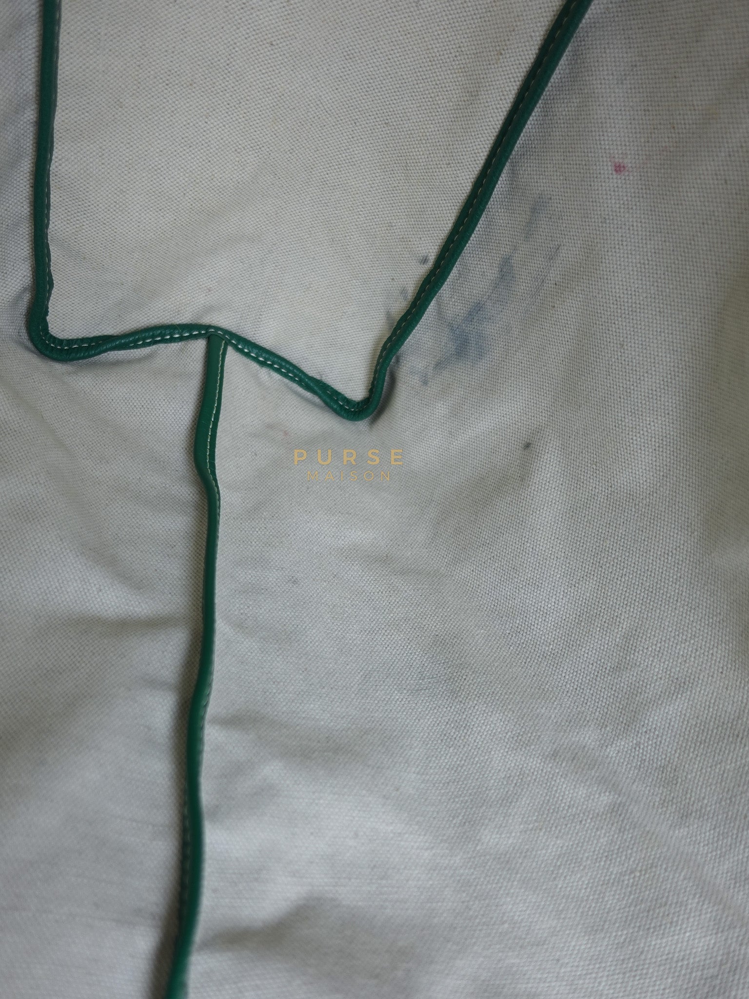 Saint Louis PM in Vert Goyardine Canvas | Purse Maison Luxury Bags Shop