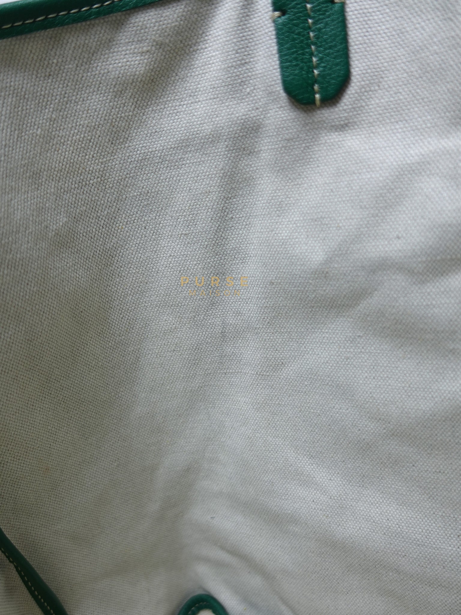 Saint Louis PM in Vert Goyardine Canvas | Purse Maison Luxury Bags Shop