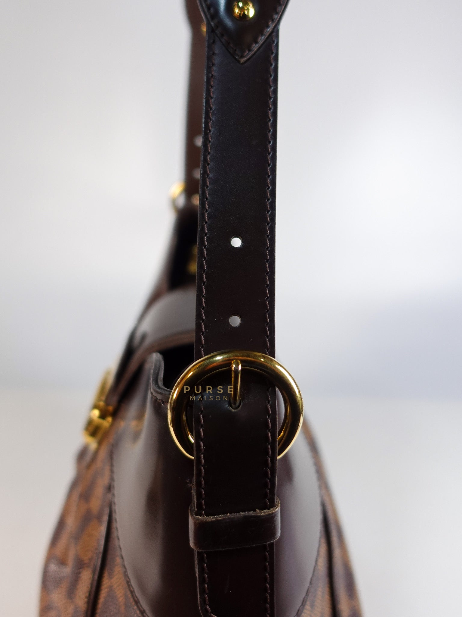 Sistina Bag MM in Brown Damier Ebene Canvas (Date Code: VI2100) | Purse Maison Luxury Bags Shop