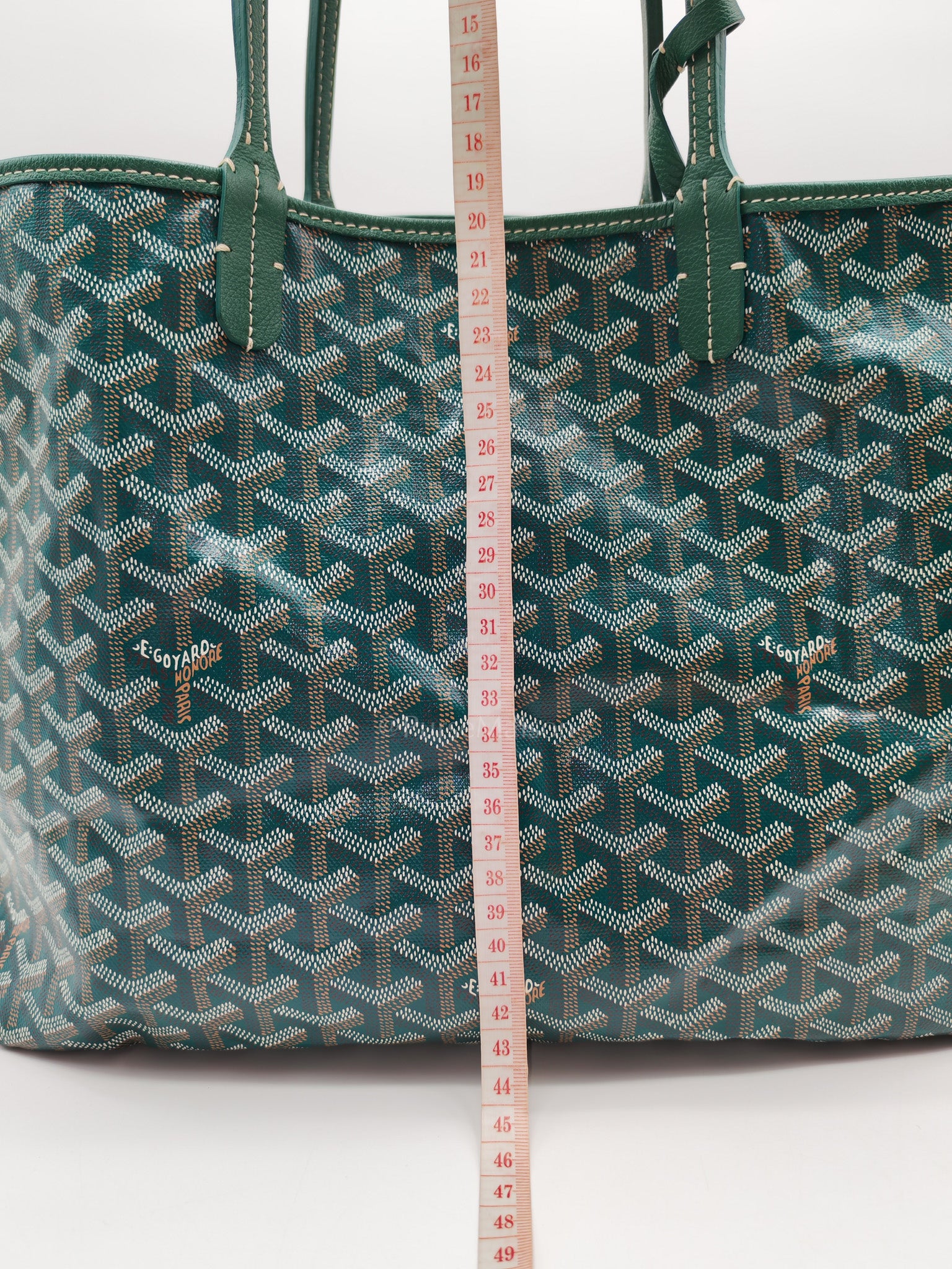 Saint Louis PM in Green Goyardine Canvas Tote Bag