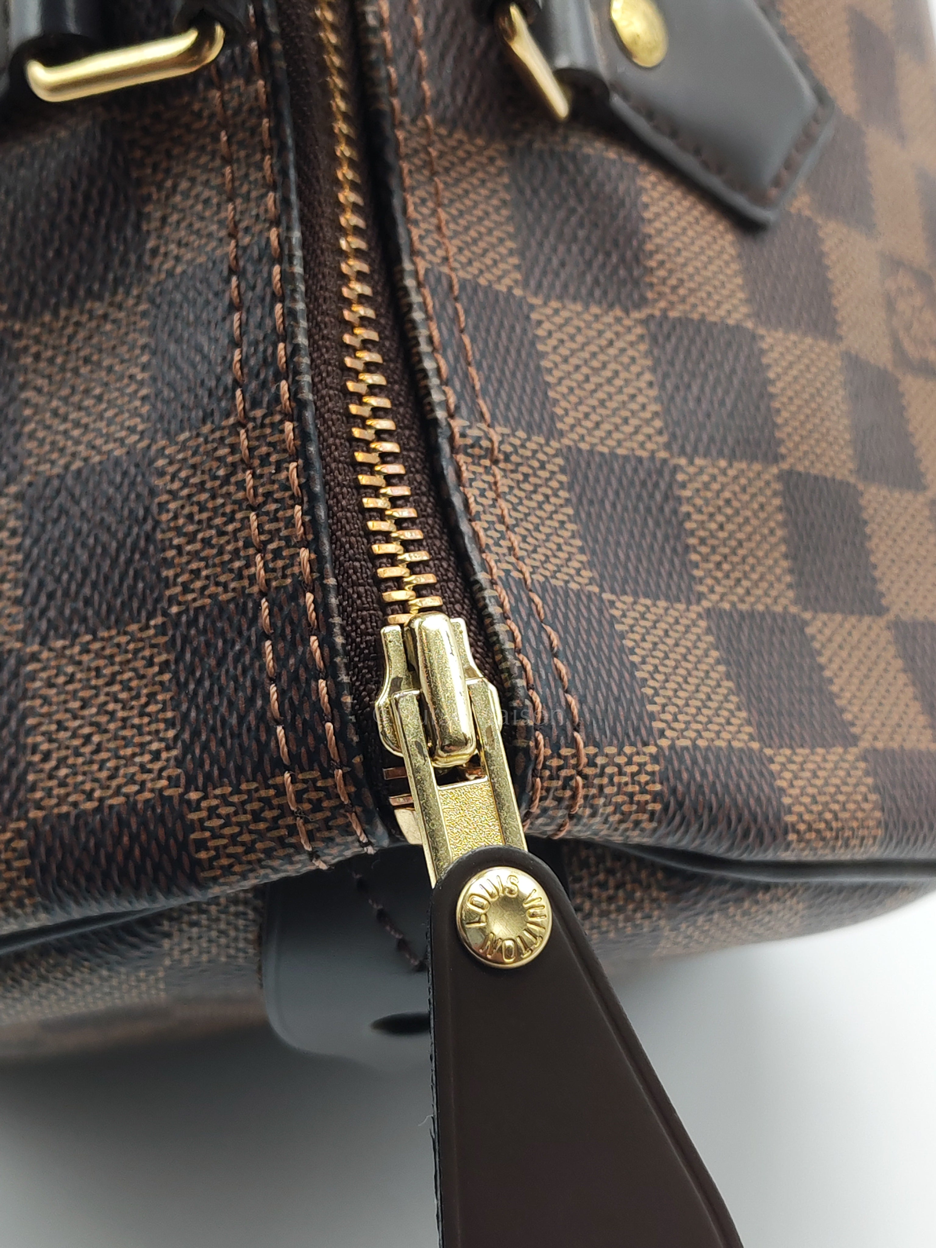 Speedy 30 in Damier Ebene Canvas & Gold Hardware Microchip | Purse Maison Luxury Bags Shop