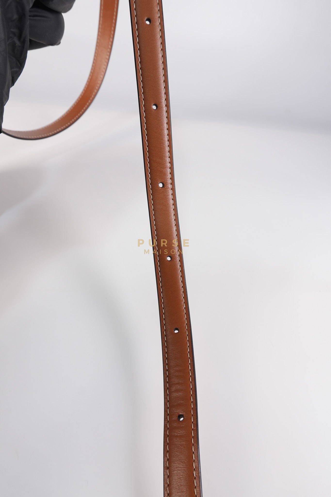 Teen Triomphe Bag in Tan Calfskin Triomphe Canvas & Gold Hardware | Purse Maison Luxury Bags Shop