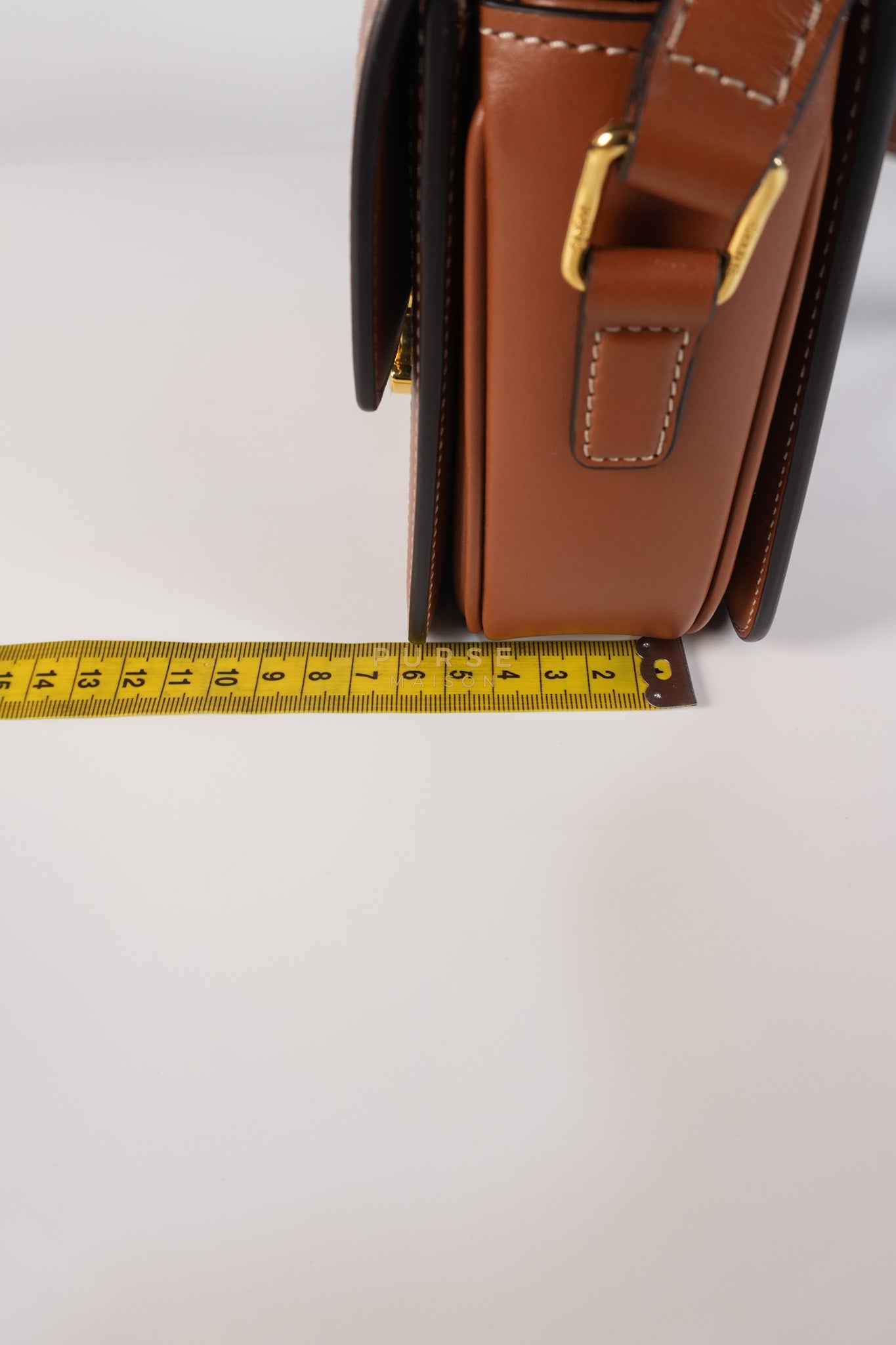 Teen Triomphe Bag in Tan Calfskin Triomphe Canvas & Gold Hardware | Purse Maison Luxury Bags Shop