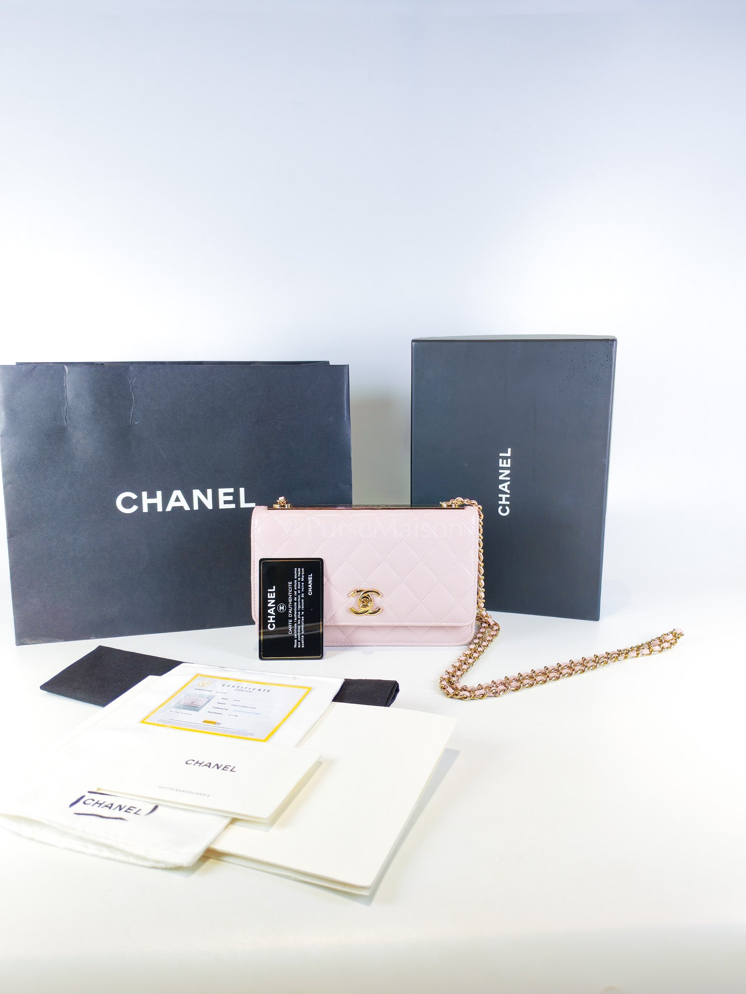 Trendy Wallet On Chain in Pink Lambskin Leather and Gold Hardware Series 31 | Purse Maison Luxury Bags Shop