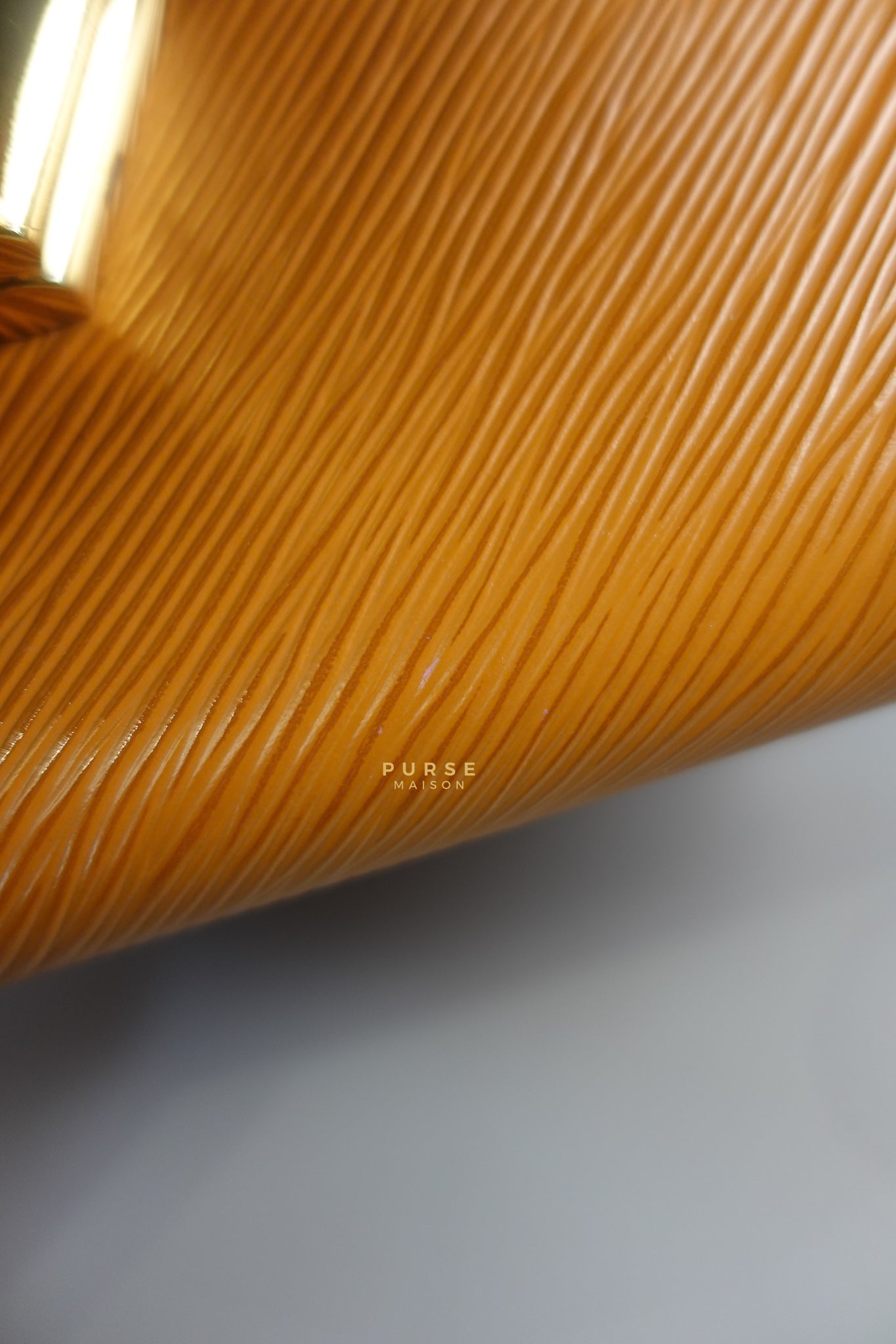 Twist MM in Caramel Epi Leather & Gold Hardware (Microchip) | Purse Maison Luxury Bags Shop