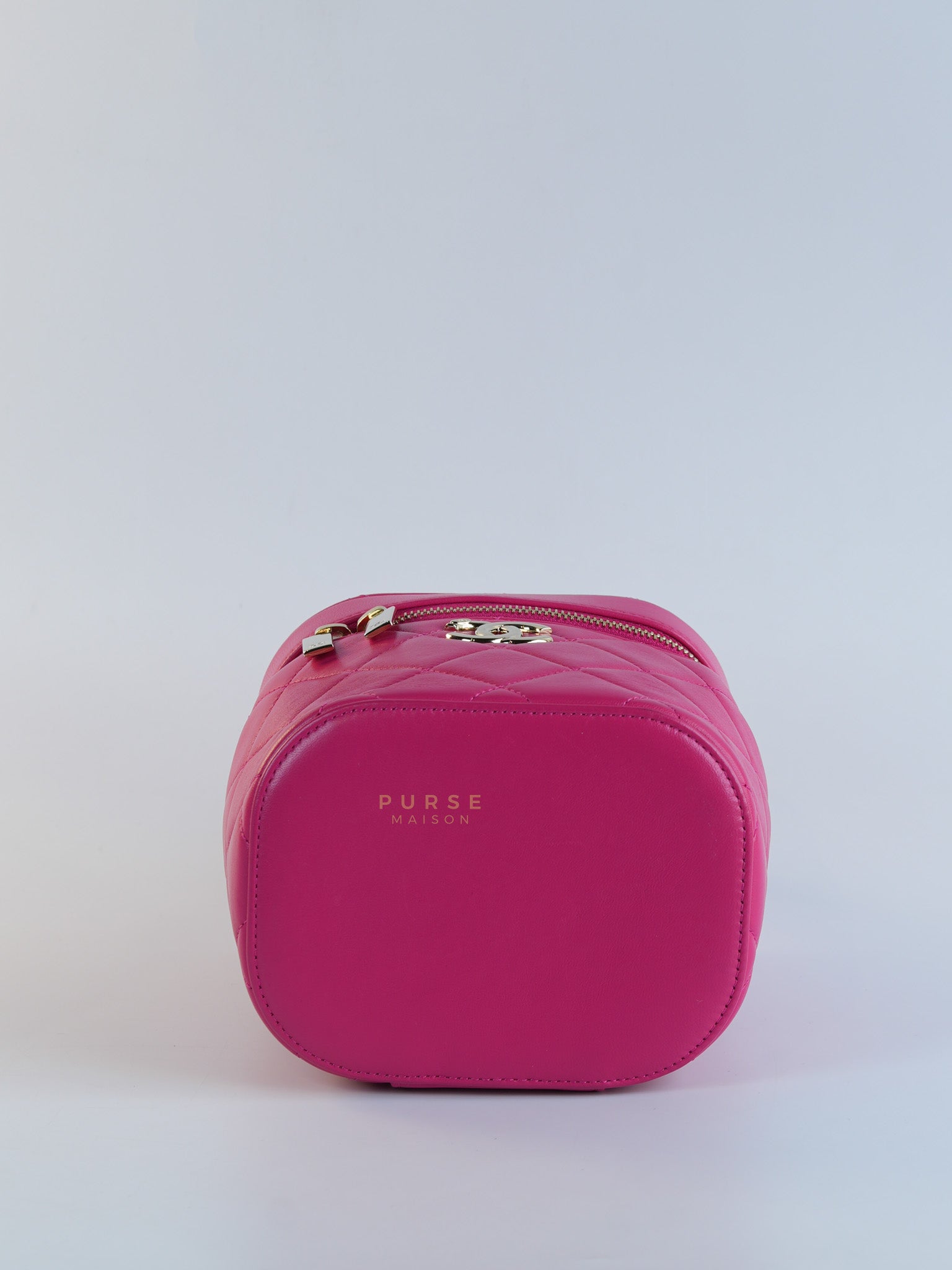 Vanity Bag Small in Pink Lambskin Leather and Light Gold Hardware Series 30 | Purse Maison Luxury Bags Shop