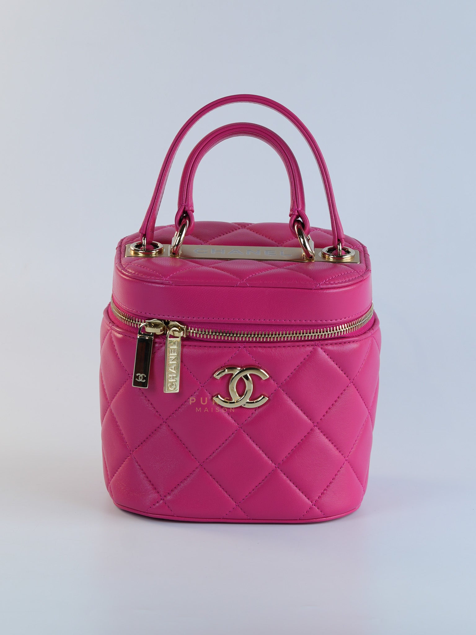 Vanity Bag Small in Pink Lambskin Leather and Light Gold Hardware Series 30 | Purse Maison Luxury Bags Shop
