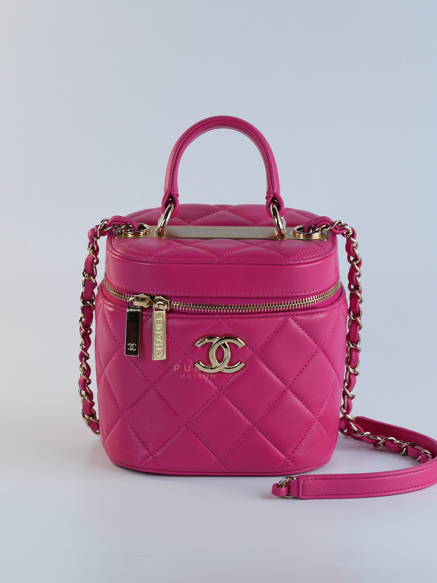 Vanity Bag Small in Pink Lambskin Leather and Light Gold Hardware Series 30 | Purse Maison Luxury Bags Shop
