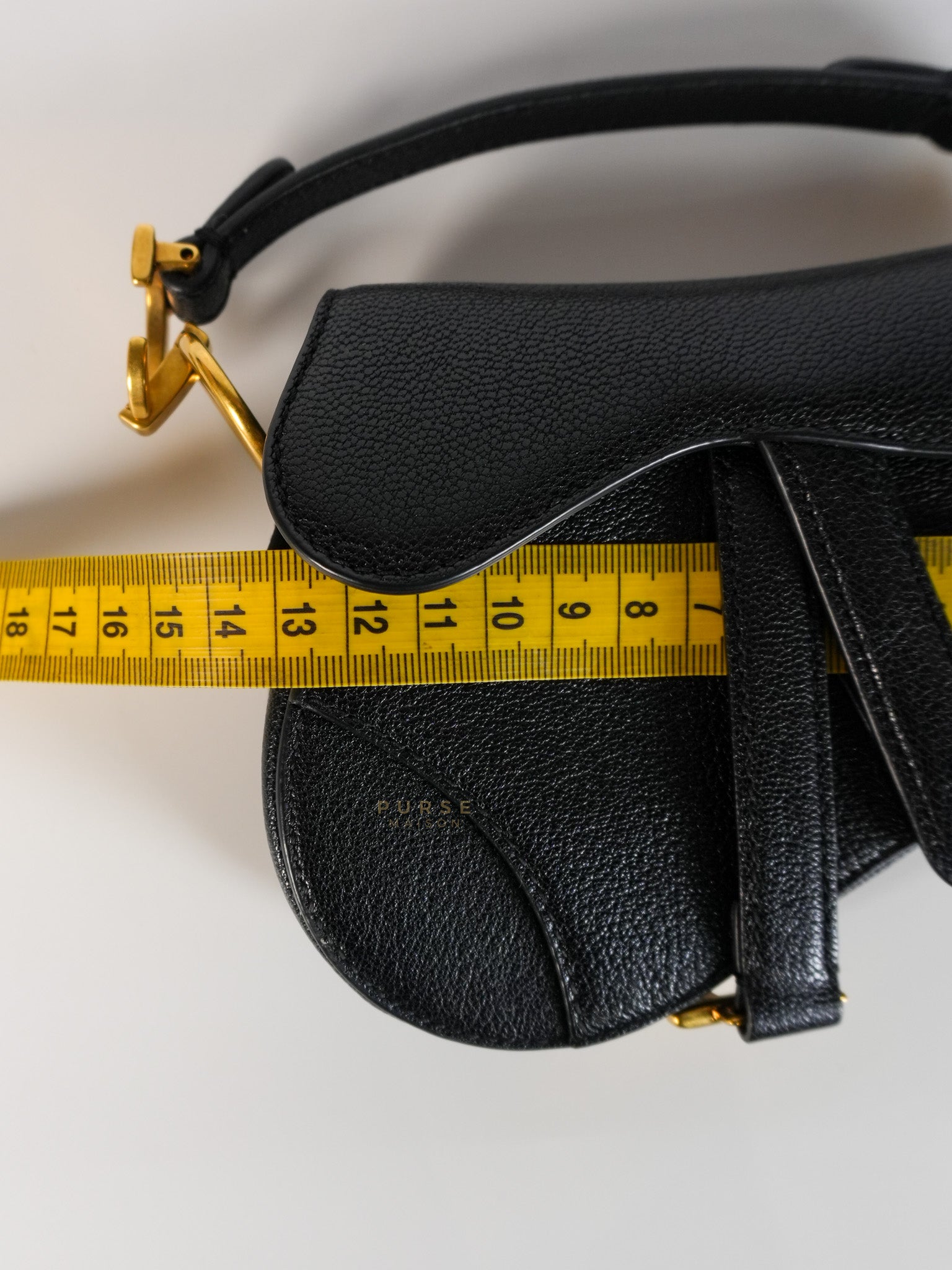 Saddle Micro in Black Grained Calfskin Leather Gold Hardware
