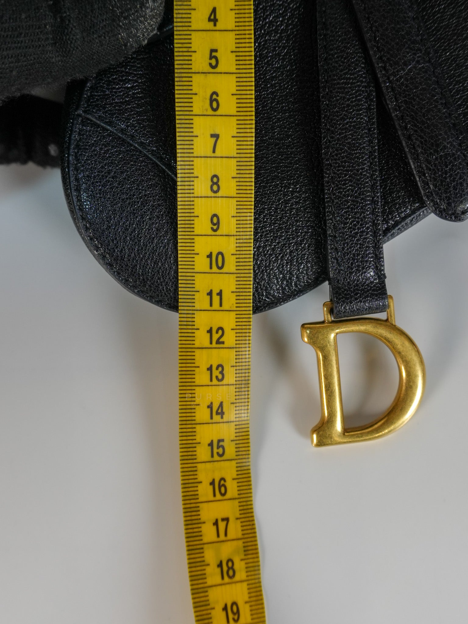 Saddle Micro in Black Grained Calfskin Leather Gold Hardware