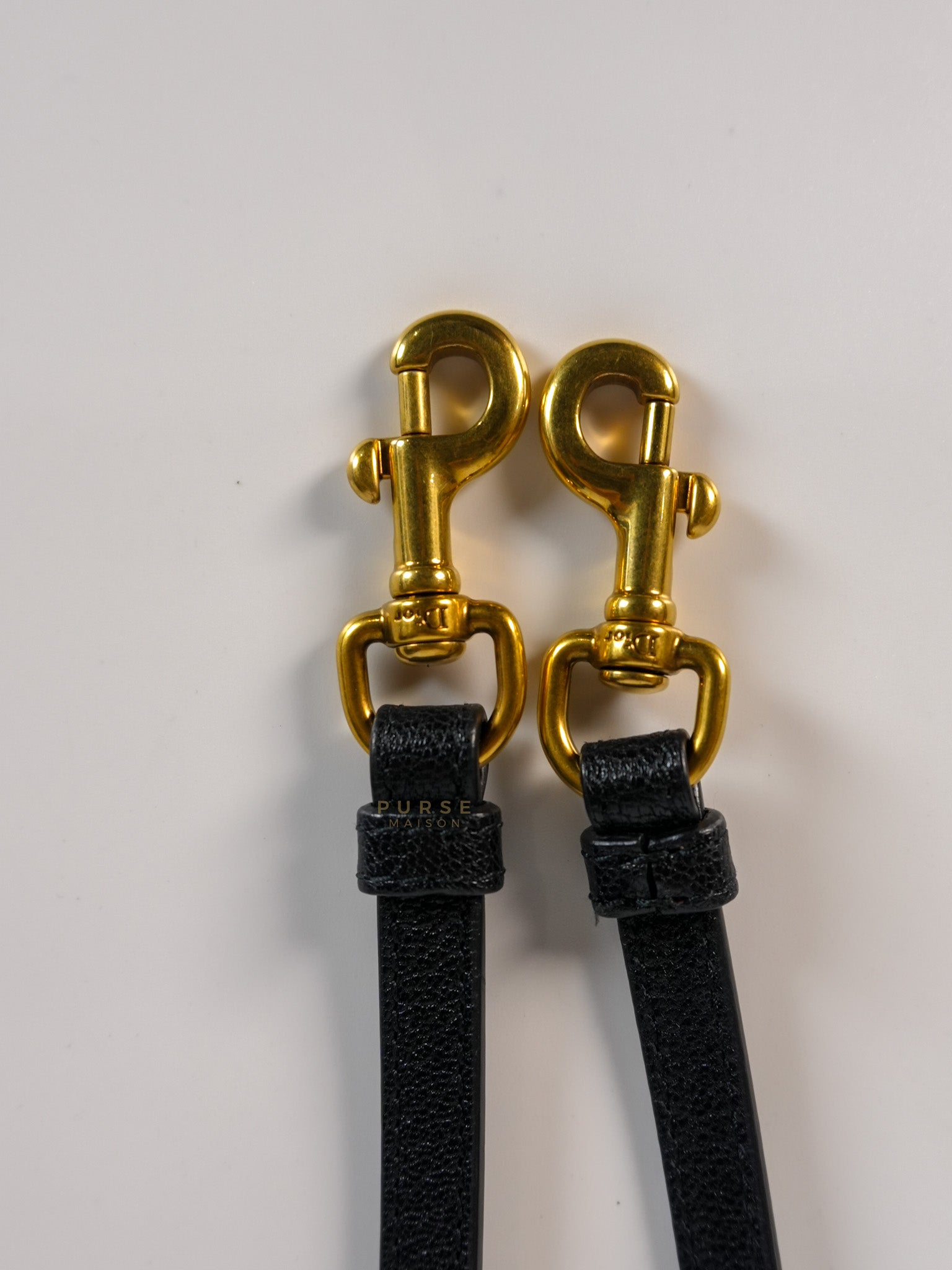 Saddle Micro in Black Grained Calfskin Leather Gold Hardware