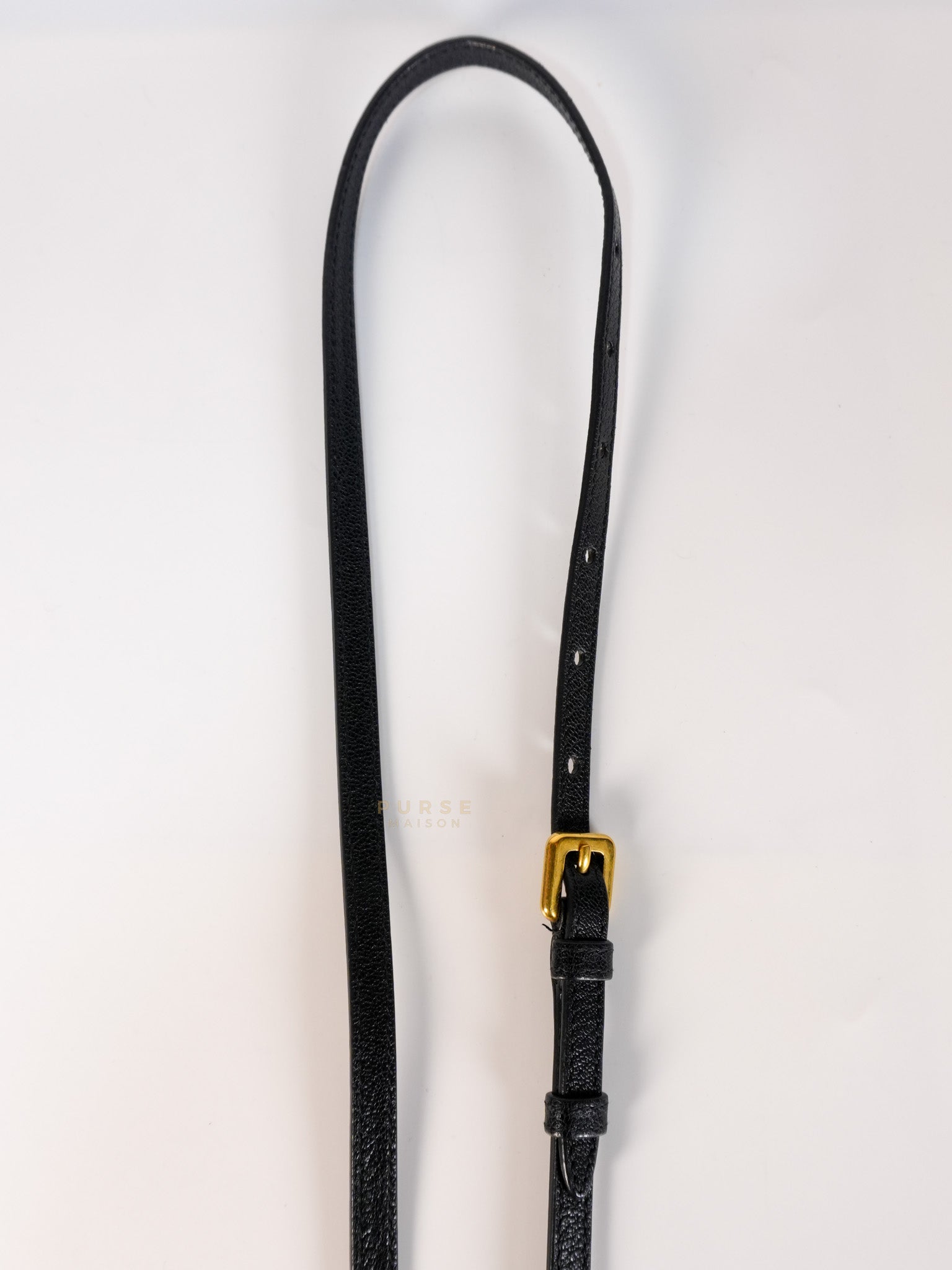 Saddle Micro in Black Grained Calfskin Leather Gold Hardware