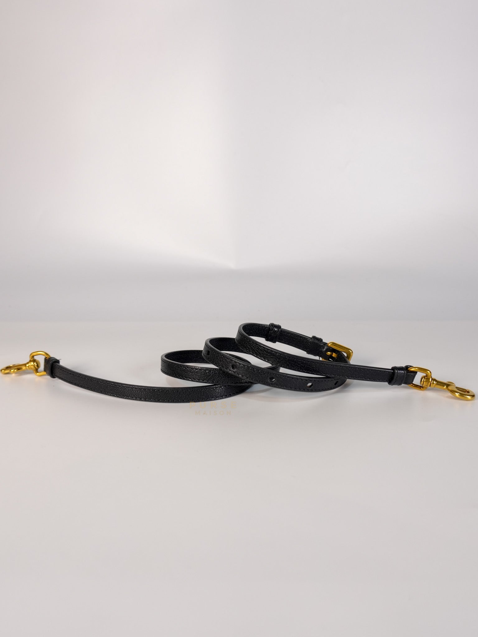 Saddle Micro in Black Grained Calfskin Leather Gold Hardware