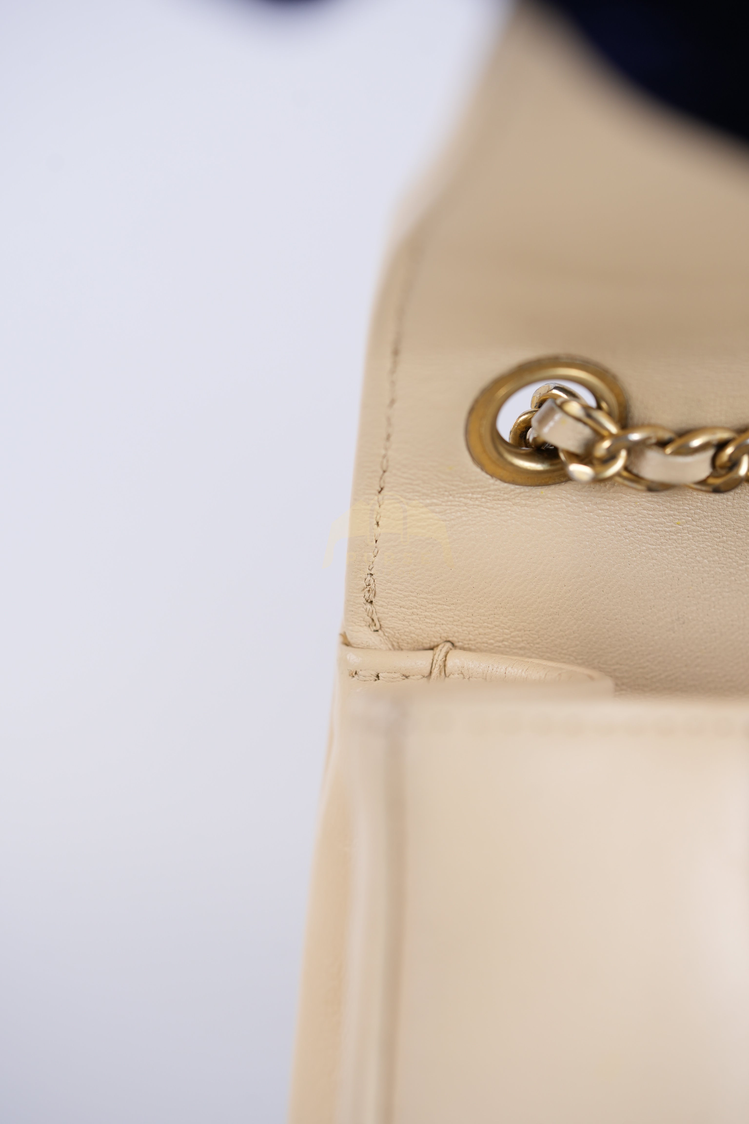 Vintage Diana Medium in Beige Calfskin Leather and Gold Hardware Series 20 | Purse Maison Luxury Bags Shop