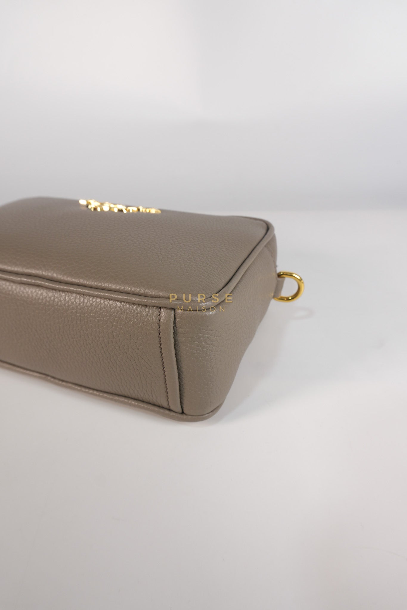 Vitello Phoenix Camera Bag in Gray Calfskin Leather & Gold Hardware | Purse Maison Luxury Bags Shop