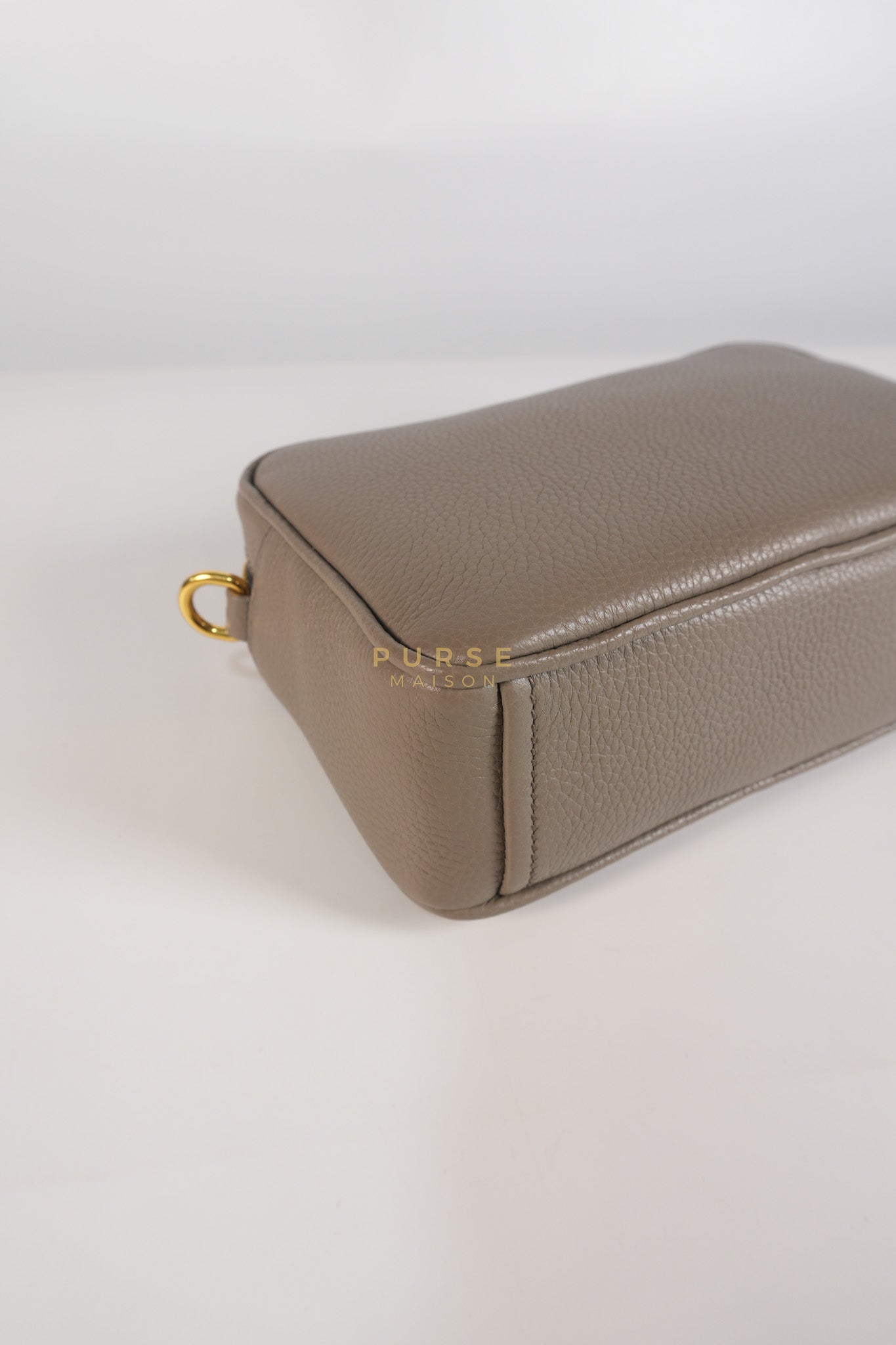 Vitello Phoenix Camera Bag in Gray Calfskin Leather & Gold Hardware | Purse Maison Luxury Bags Shop