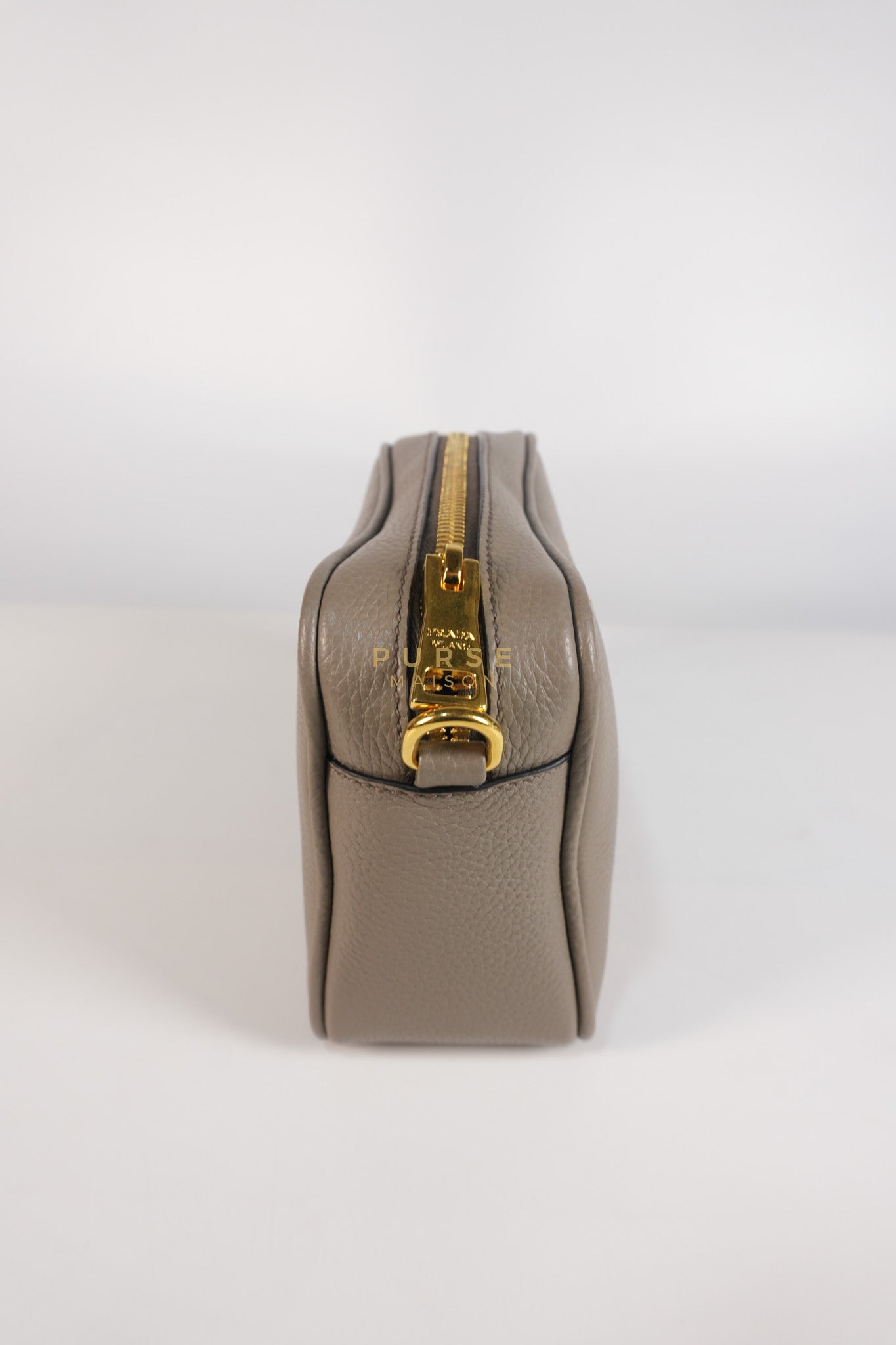 Vitello Phoenix Camera Bag in Gray Calfskin Leather & Gold Hardware | Purse Maison Luxury Bags Shop