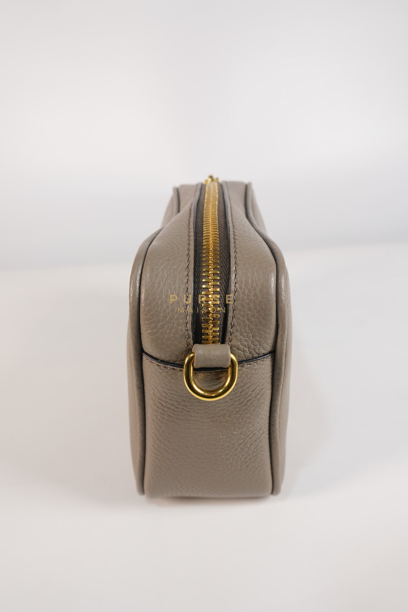Vitello Phoenix Camera Bag in Gray Calfskin Leather & Gold Hardware | Purse Maison Luxury Bags Shop
