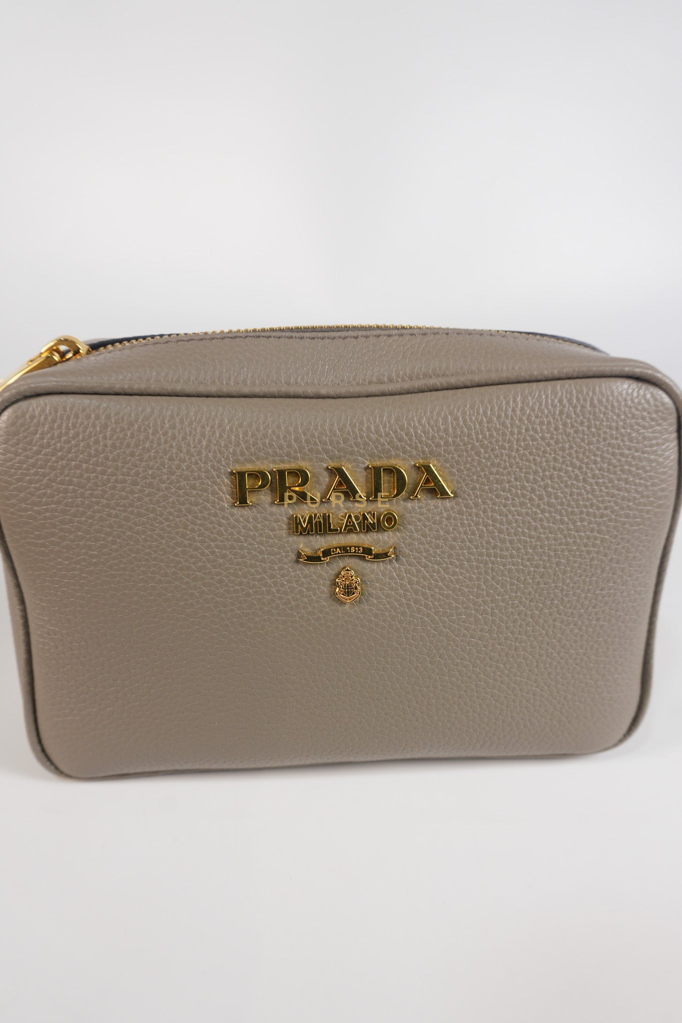 Vitello Phoenix Camera Bag in Gray Calfskin Leather & Gold Hardware | Purse Maison Luxury Bags Shop