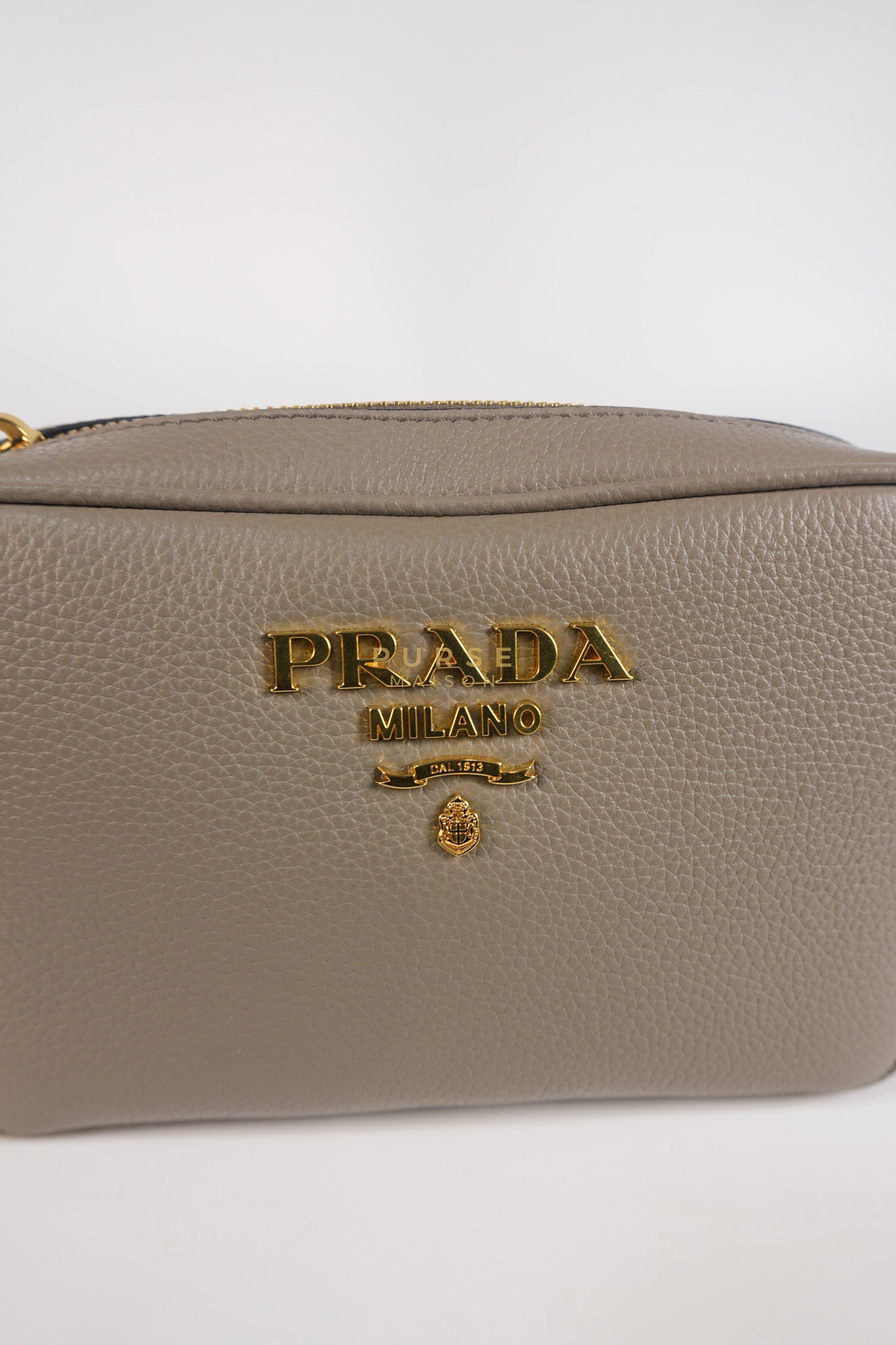 Vitello Phoenix Camera Bag in Gray Calfskin Leather & Gold Hardware | Purse Maison Luxury Bags Shop