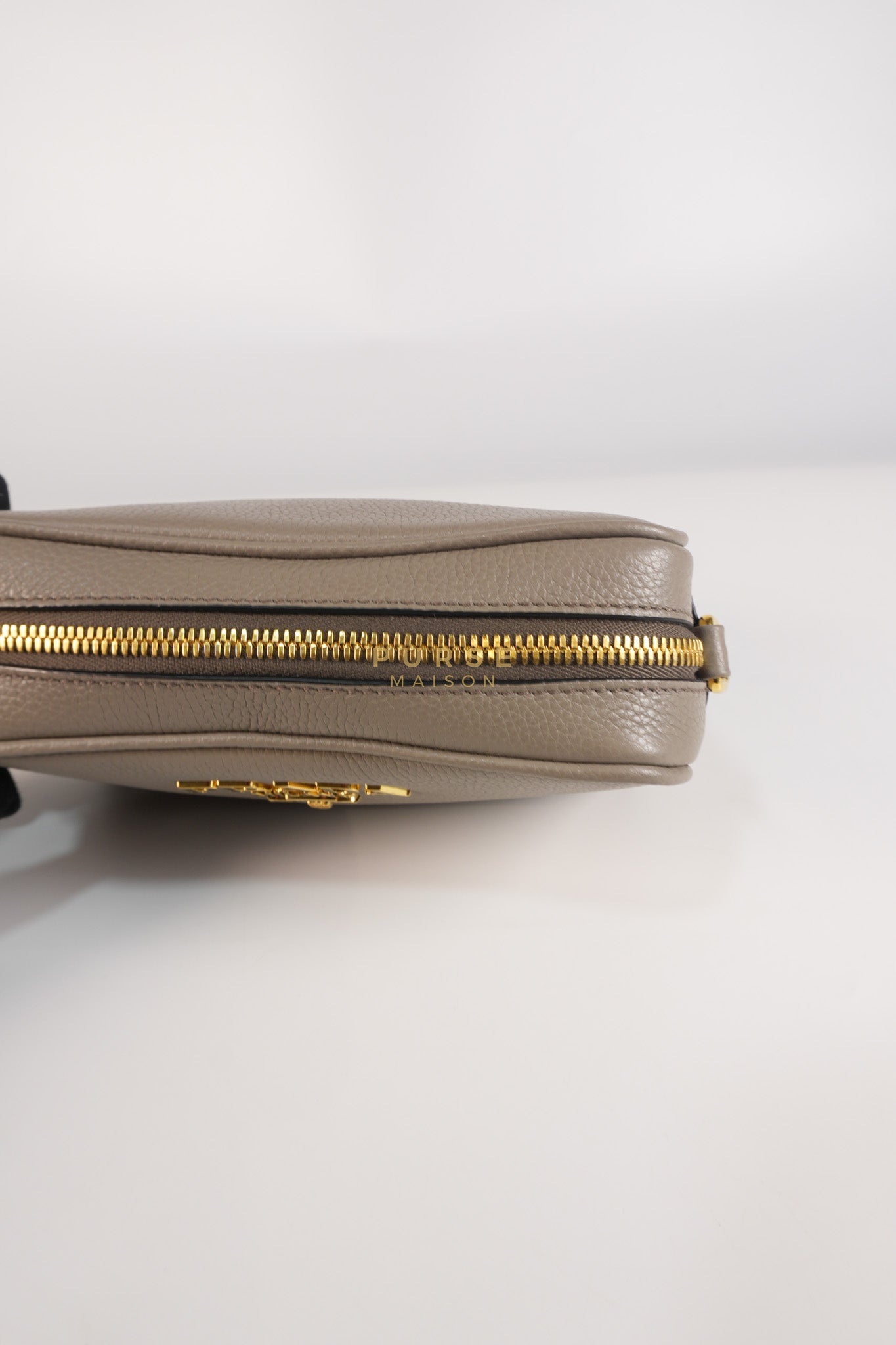 Vitello Phoenix Camera Bag in Gray Calfskin Leather & Gold Hardware | Purse Maison Luxury Bags Shop