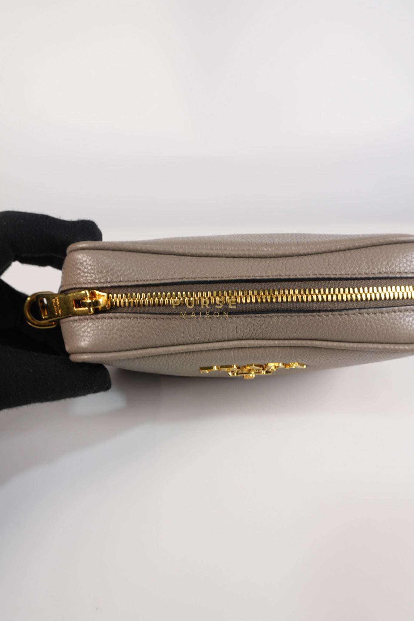 Vitello Phoenix Camera Bag in Gray Calfskin Leather & Gold Hardware | Purse Maison Luxury Bags Shop