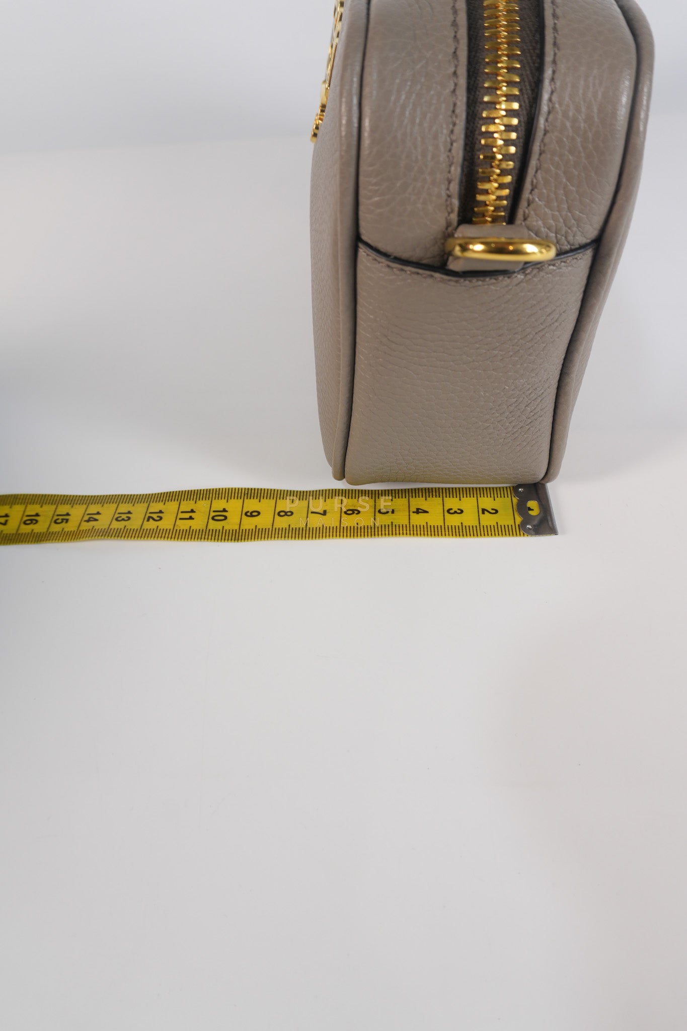 Vitello Phoenix Camera Bag in Gray Calfskin Leather & Gold Hardware | Purse Maison Luxury Bags Shop