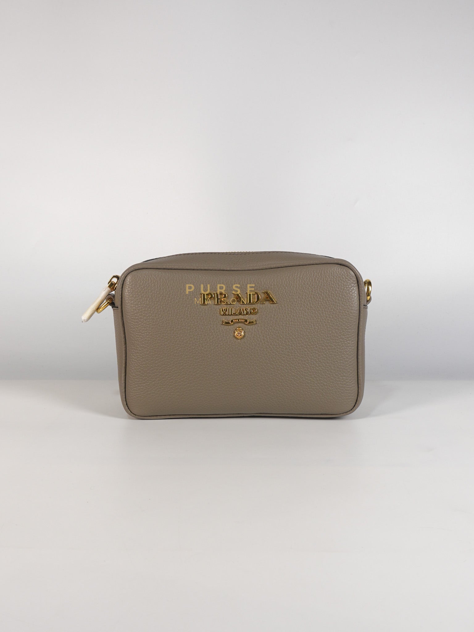 Vitello Phoenix Camera Bag in Gray Calfskin Leather & Gold Hardware | Purse Maison Luxury Bags Shop
