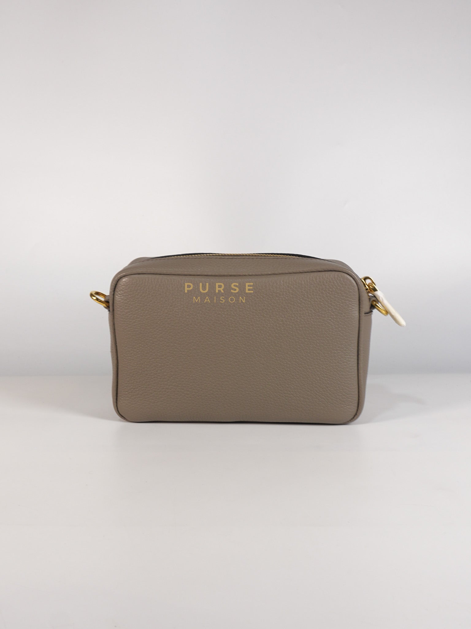 Vitello Phoenix Camera Bag in Gray Calfskin Leather & Gold Hardware | Purse Maison Luxury Bags Shop